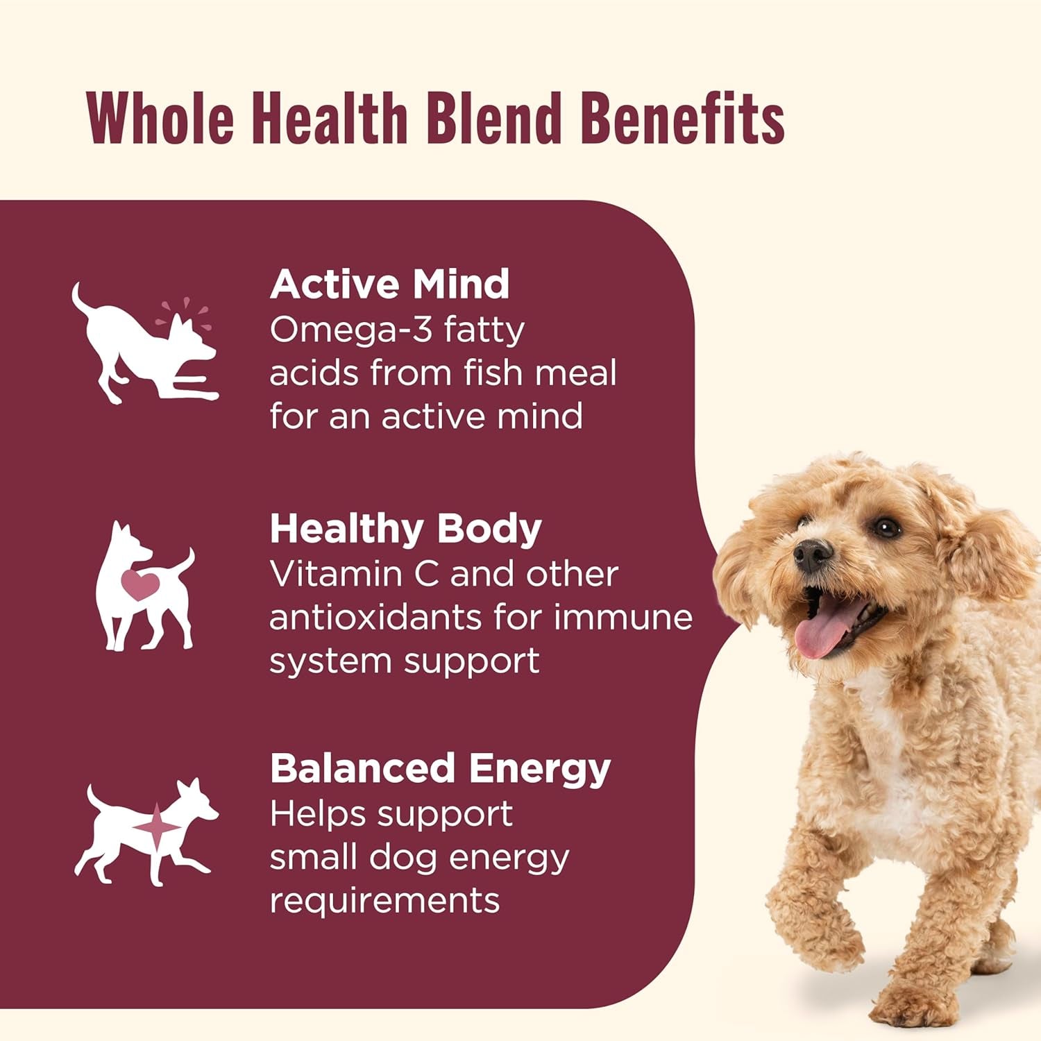 Small Breed Real Chicken & Veggies Recipe Whole Health Blend Dry Dog Food, 14 Lb. Bag, Packaging May Vary (Rachael Ray)