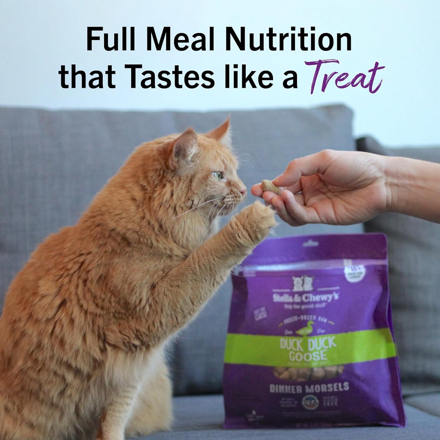 Freeze-Dried Raw Cat Dinner Morsels - Premium Duck & Goose Recipe with 98% Cage-Free Poultry & Organs - Natural Grain-Free Cat & Kitten Food - Made in USA - 18 Oz