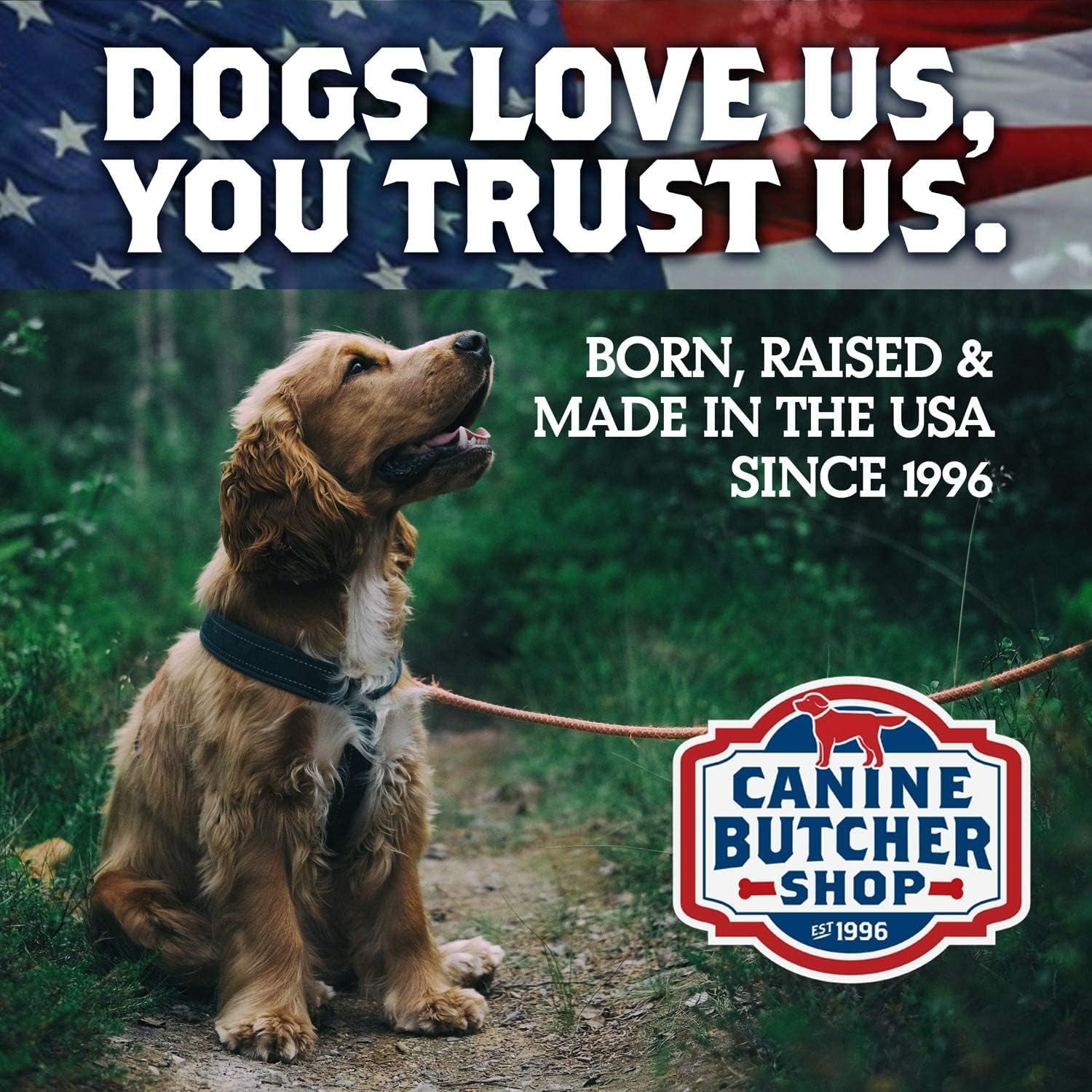 Chicken Feet Dog Treats, Raised & Made in USA (30-Pack), Dehydrated Chicken Feet, All Natural Dog Chews & Dog Snacks