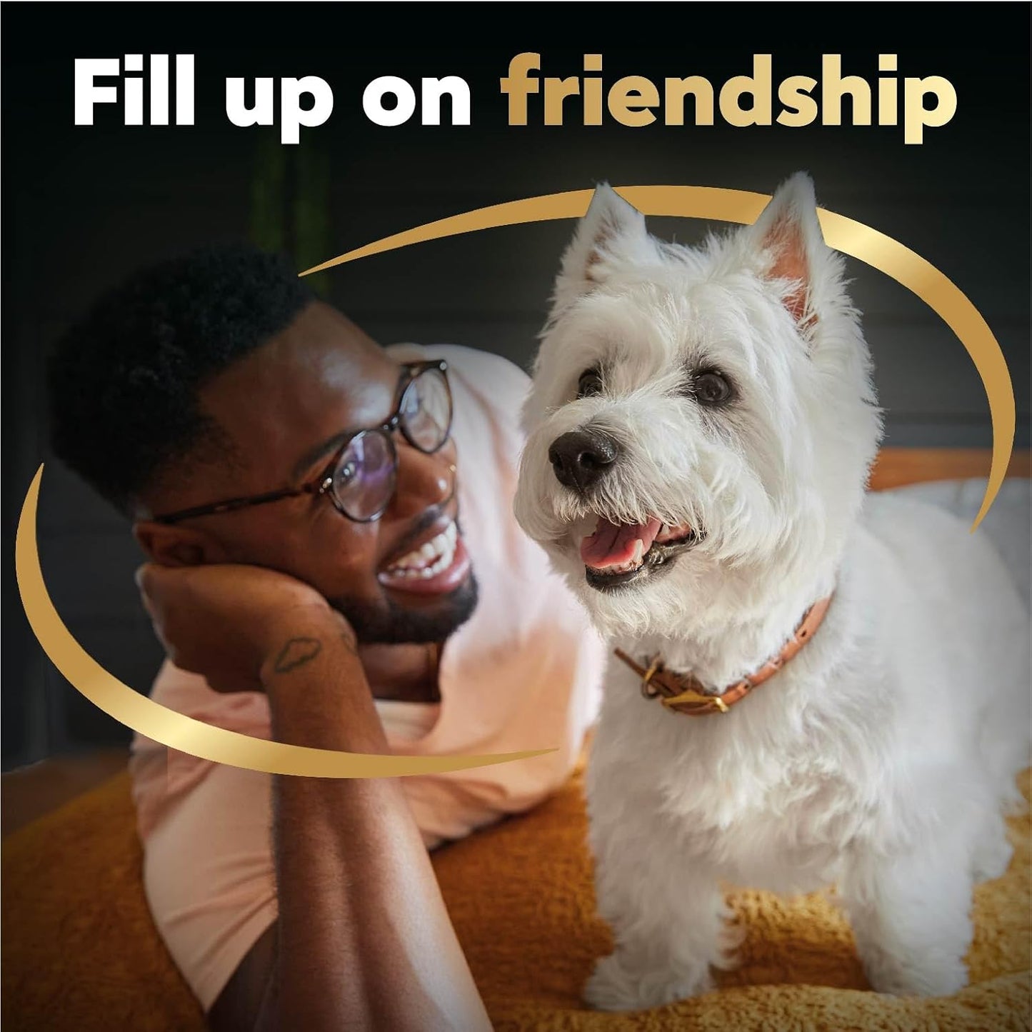 Filets in Gravy Wet Dog Food Filet Mignon Flavor and Rotisserie Chicken Flavor Variety Pack, 1.76 Oz. Mini-Pouches (20 Count, Pack of 2)