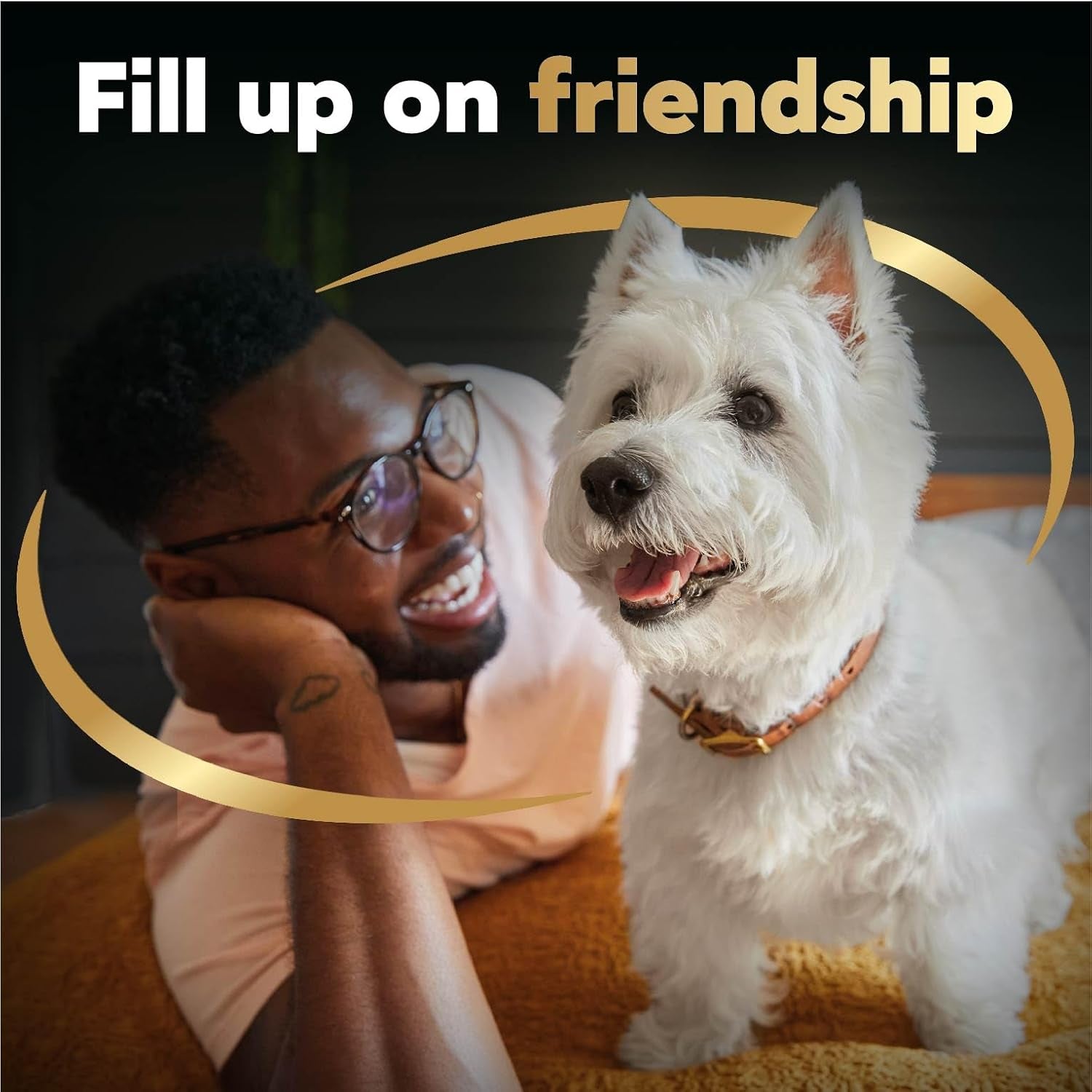 Filets in Gravy Wet Dog Food Filet Mignon Flavor, Rotisserie Chicken Flavor, and Wood-Grilled Chicken Flavor Variety Pack, 1.76 Oz. Mini-Pouches (40 Count, Pack of 1)