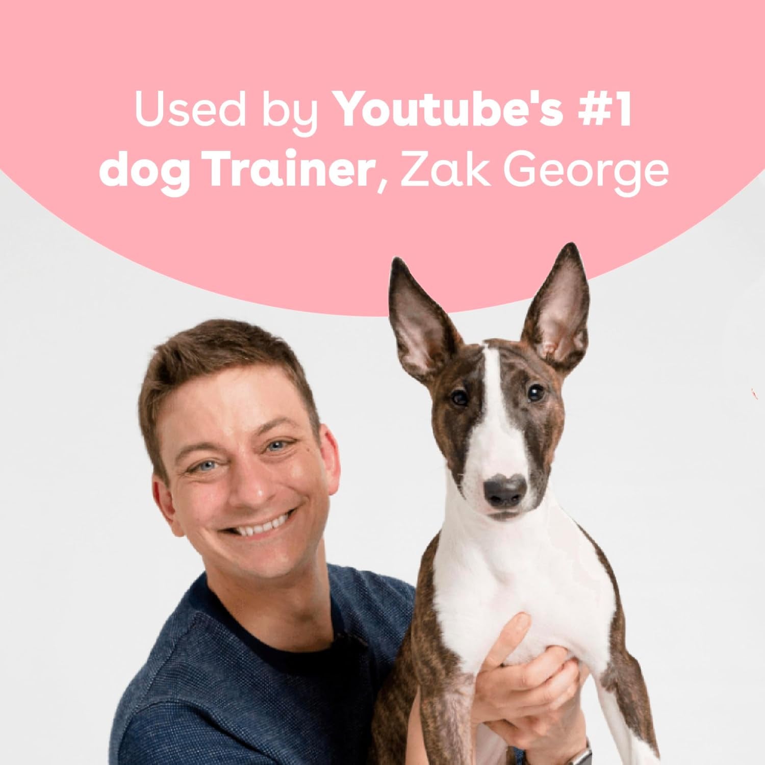 Freeze Dried Training Treats for Dogs & Puppies, 475+ Two Ingredient Bites (Salmon, 4 Oz)