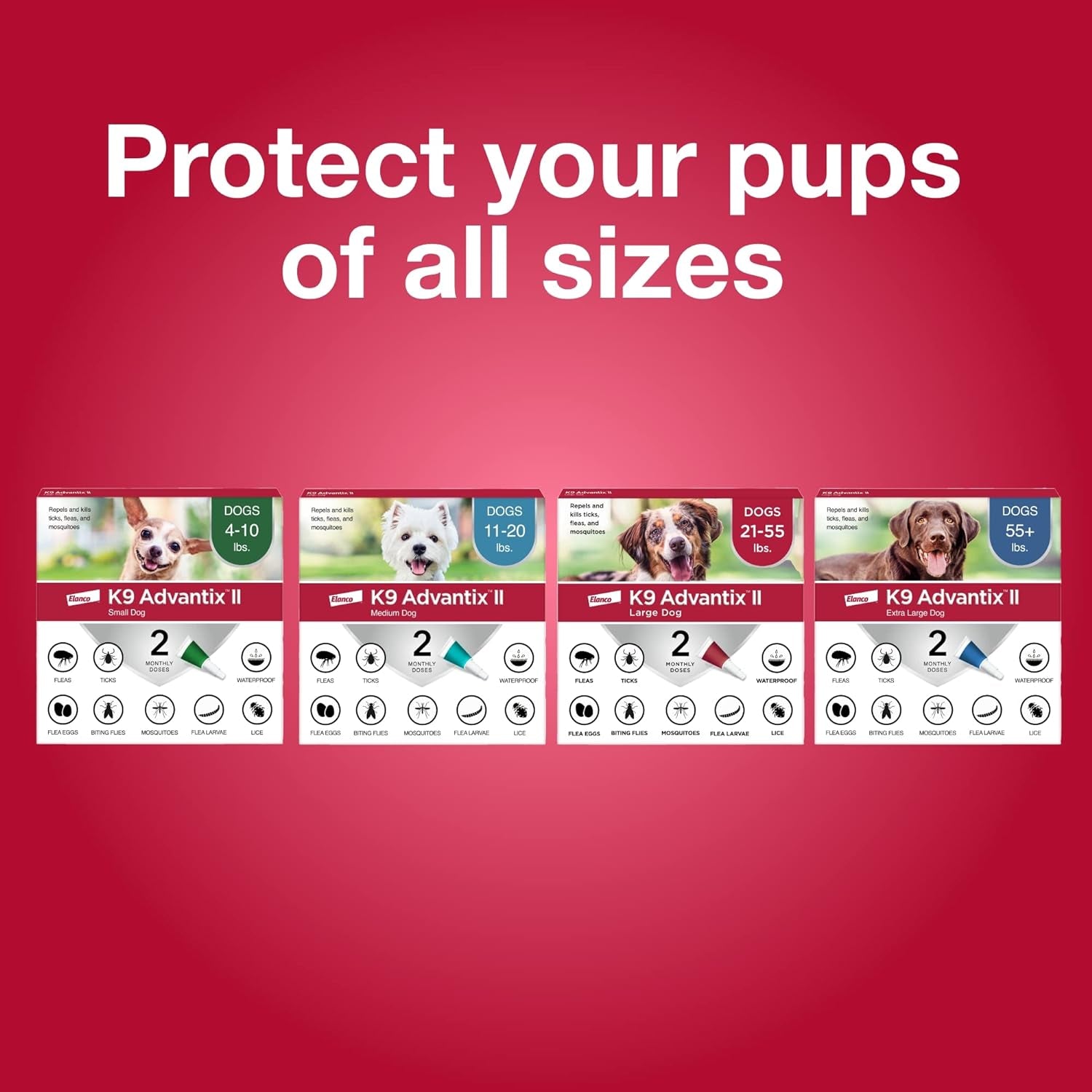 II Medium Dog Vet-Recommended Flea, Tick & Mosquito Treatment & Prevention | Dogs 11-20 Lbs. | 2-Mo Supply