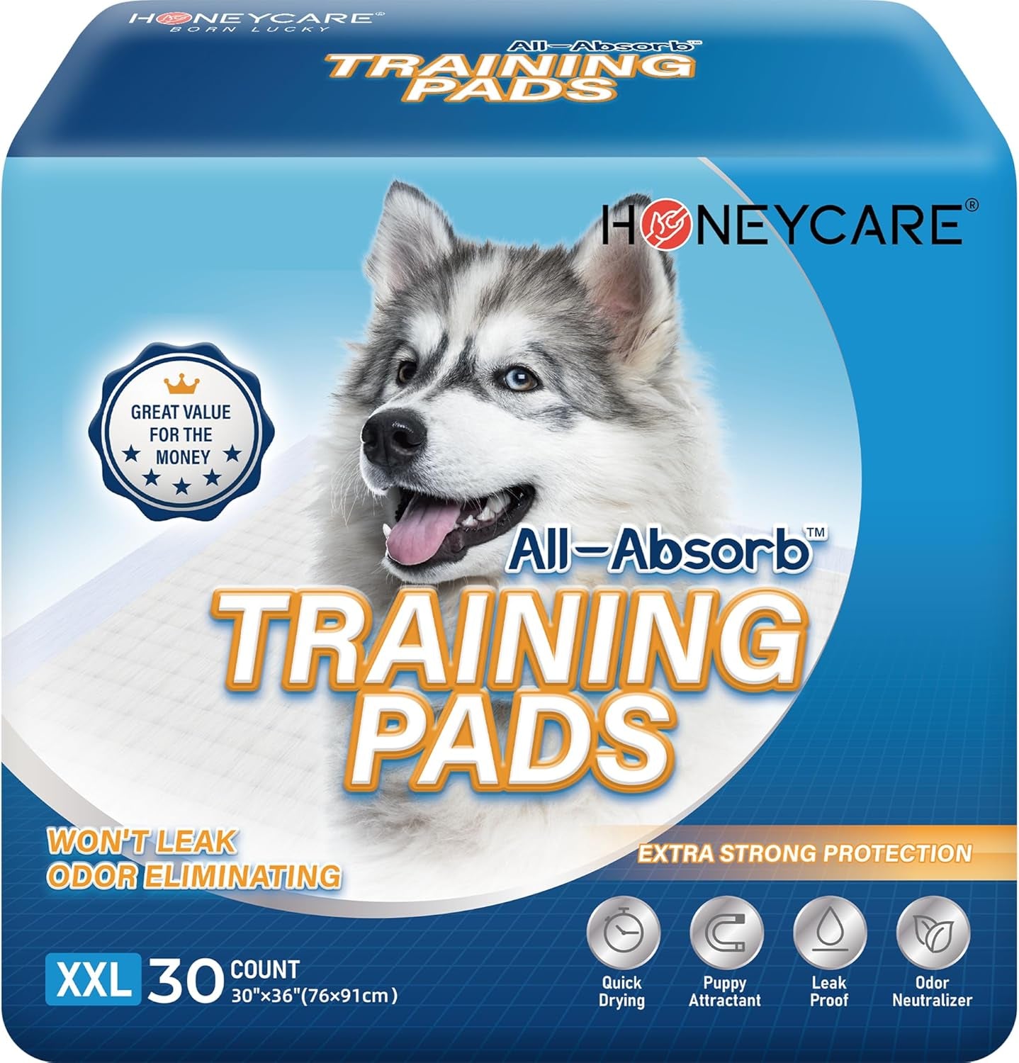 All-Absorb, XXL 30"X36", 30 Count, Dog and Puppy Training Pads, Ultra Absorbent and Odor Eliminating, Leak-Proof 5-Layer Potty Training Pads with Quick-Dry Surface, Blue, A39