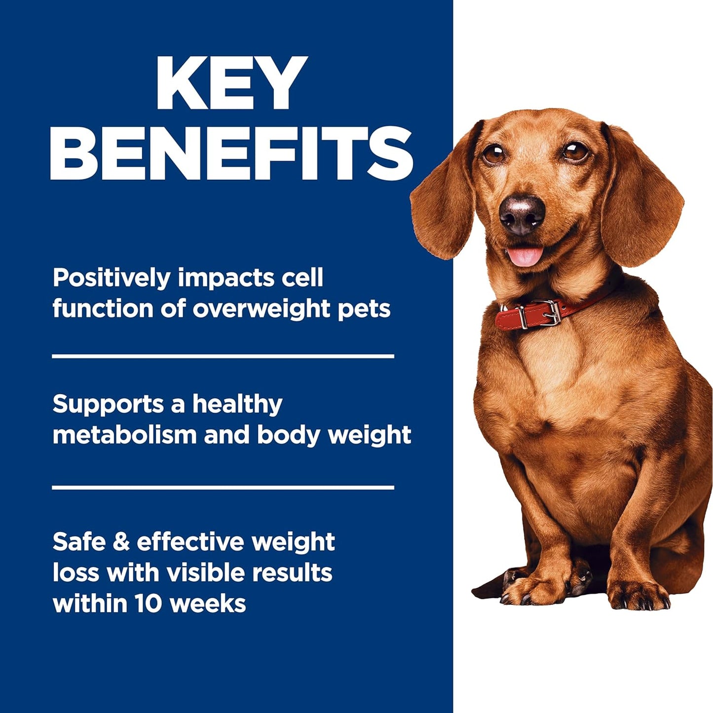 Perfect Weight, Adult 1-6, Small & Mini Breeds Weight Management Support, Dry Dog Food, Chicken Recipe, 12.5 Lb Bag