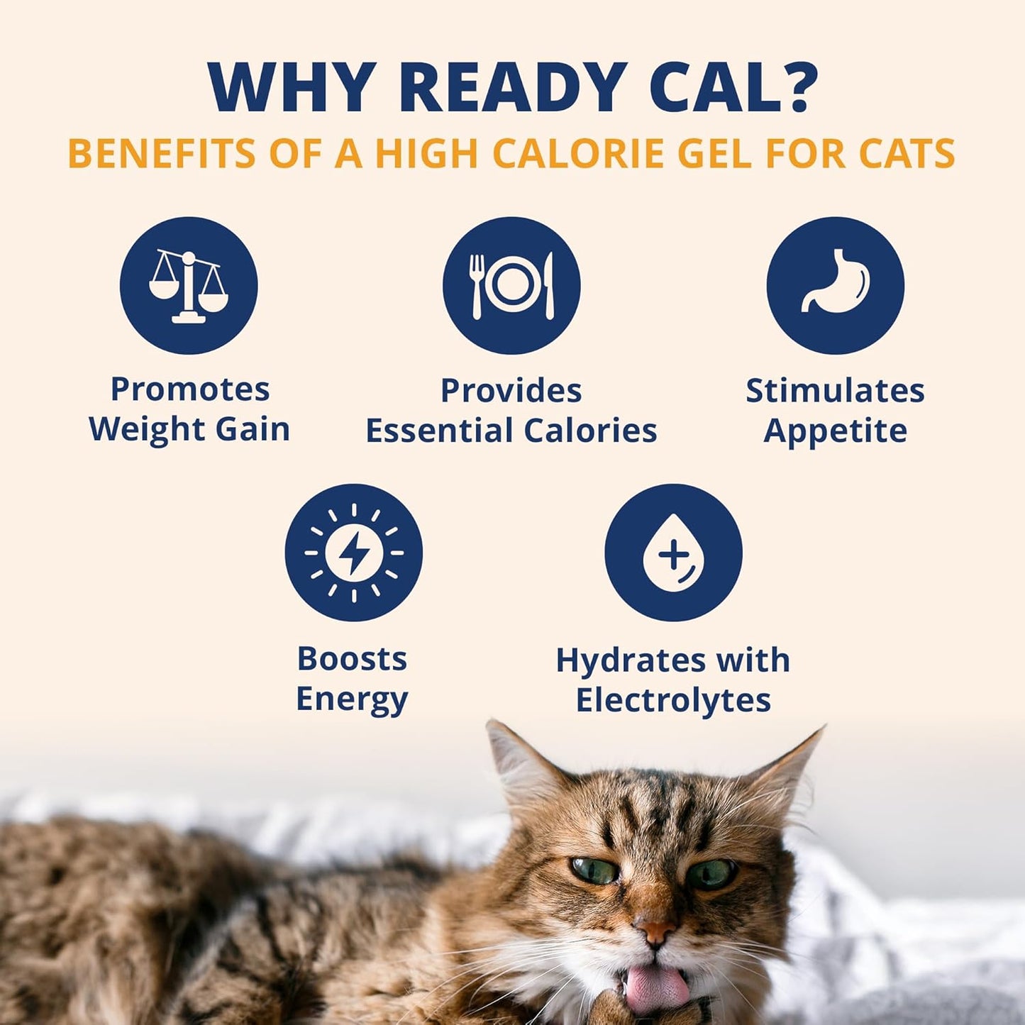 Pet Electrolytes Ready Cal plus Gel for Cats | Vet-Formulated High-Calorie Supplement for Cats & Kittens | Promotes Weight Gain & Boosts Energy for Sick Felines | 3.5 Oz Tube Pack