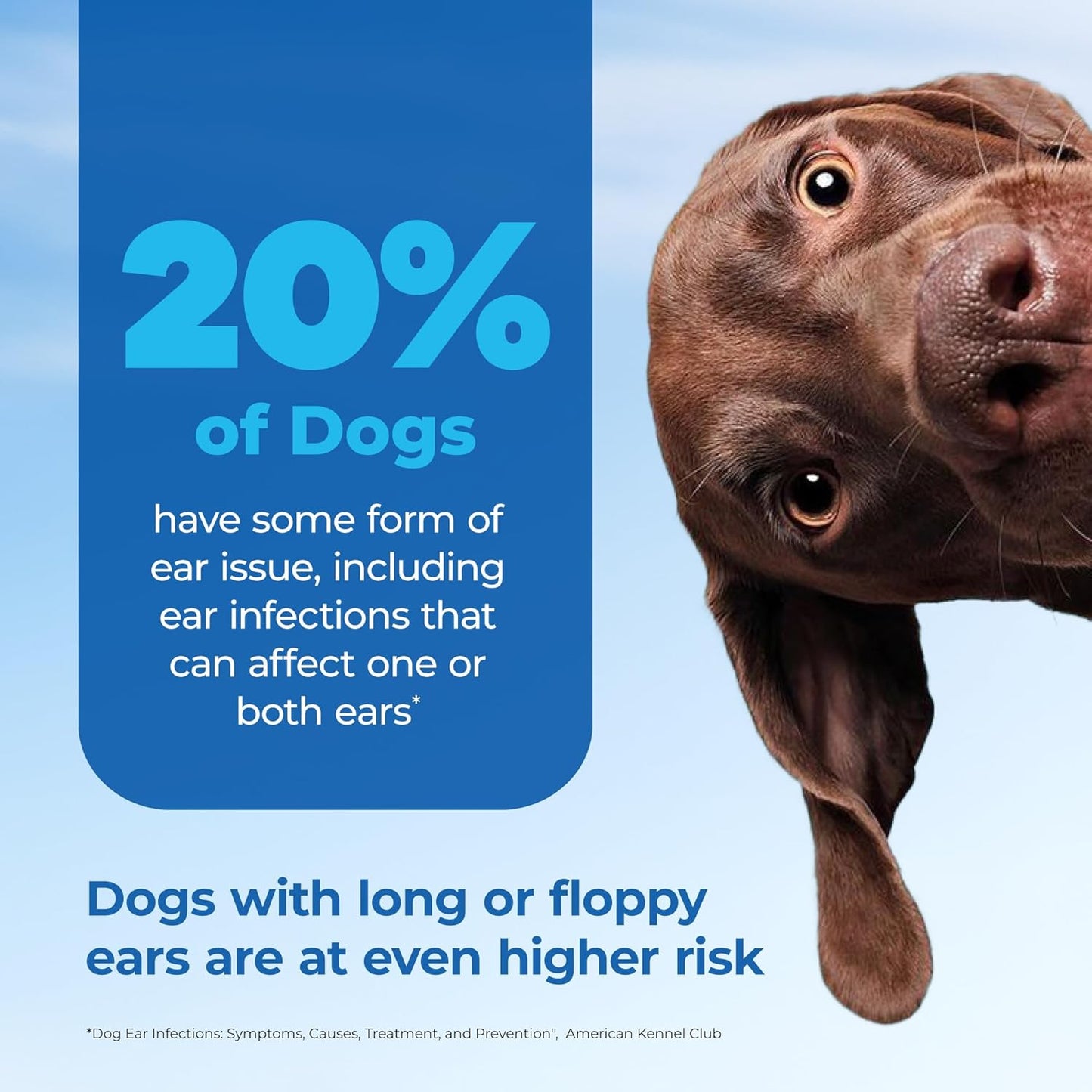 Oticbliss Cat & Dog Ear Infection Treatment/Dog Ear Allergy Relief Drops, Microsilver Yeast Infection Treatment for Dogs, Hydrocortisone for Itching, Redness Swelling (Ear Infection)