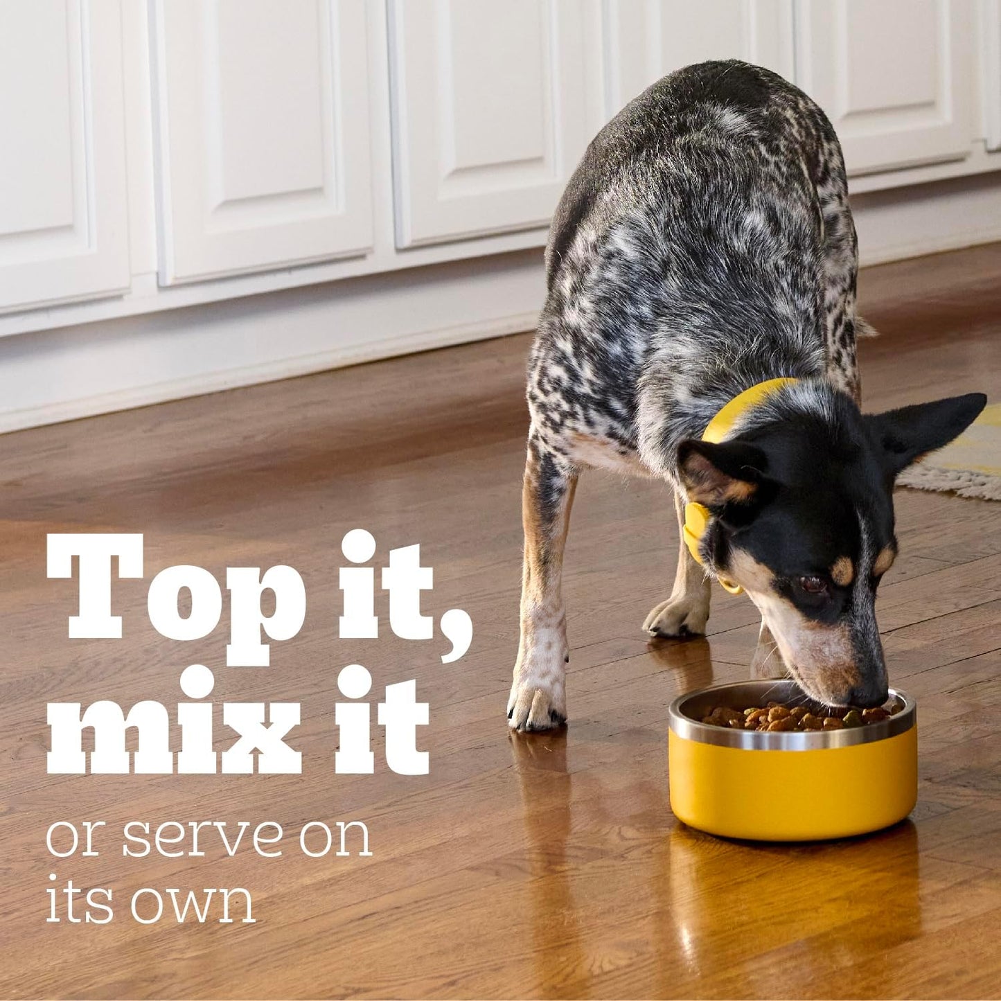 Chopped Ground Dinner Adult Canned Soft Wet Dog Food, Chicken & Rice Flavor, 13.2 Oz. Cans (12 Count, Pack of 1)