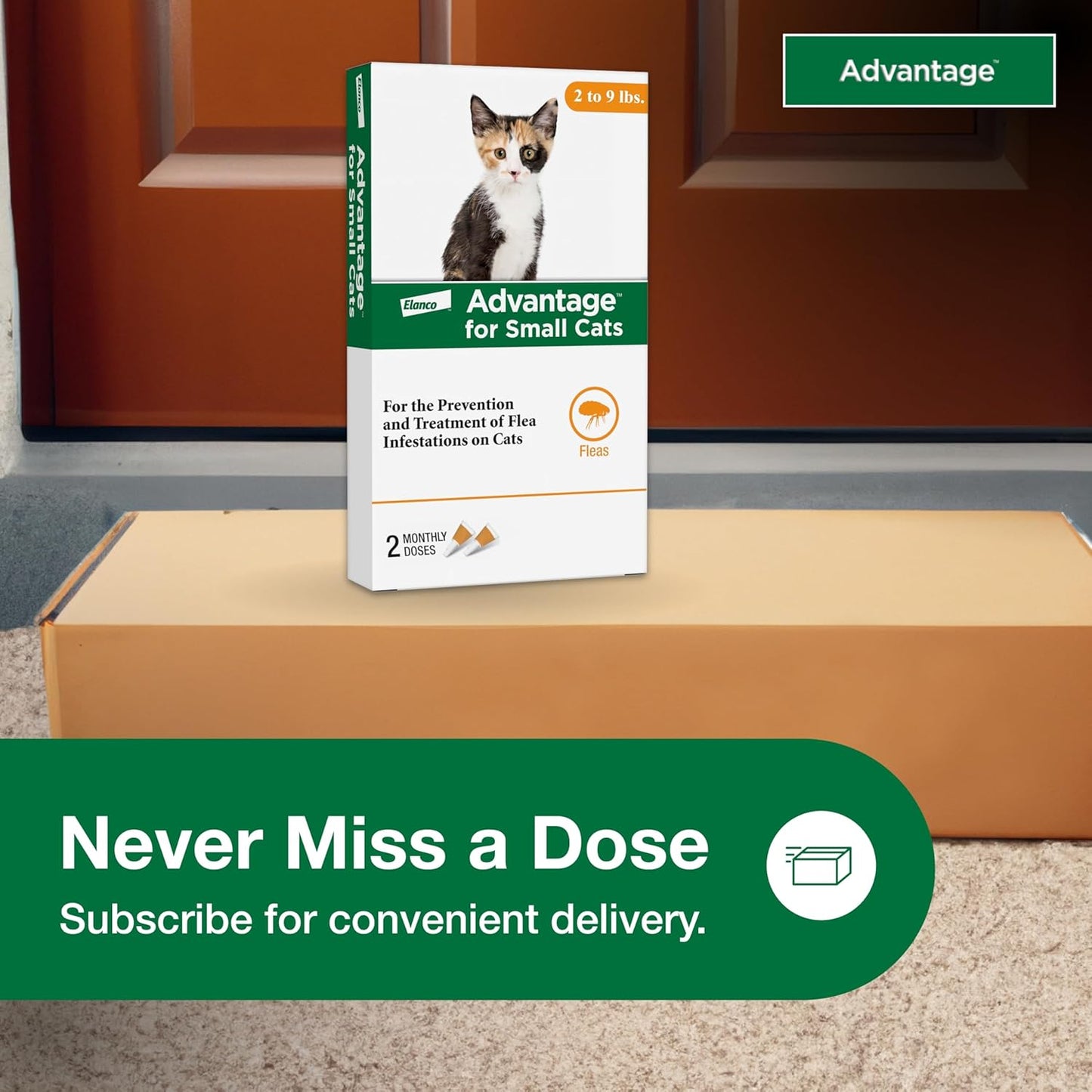 Topical Cat Flea Treatment and Prevention for Small Cats 2-9 Lbs. | Apply Flea Drops Monthly | 2 Treatments