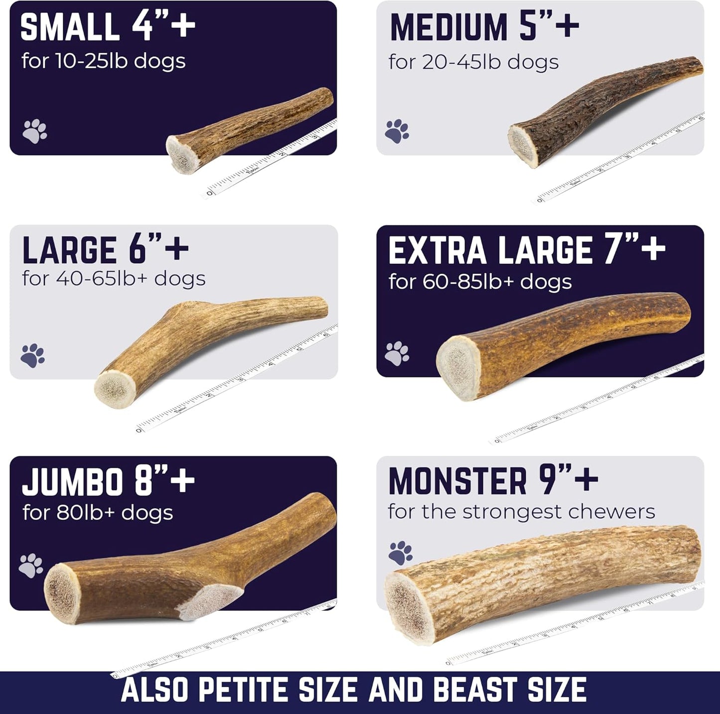 . Elk Antlers for Dogs, Medium 5"+, 1 Pack, Grade a Long Lasting Chew for Aggressive Chewers, Premium USA Naturally Shed Antler – Healthy, No Odor, Durable Dog Chew