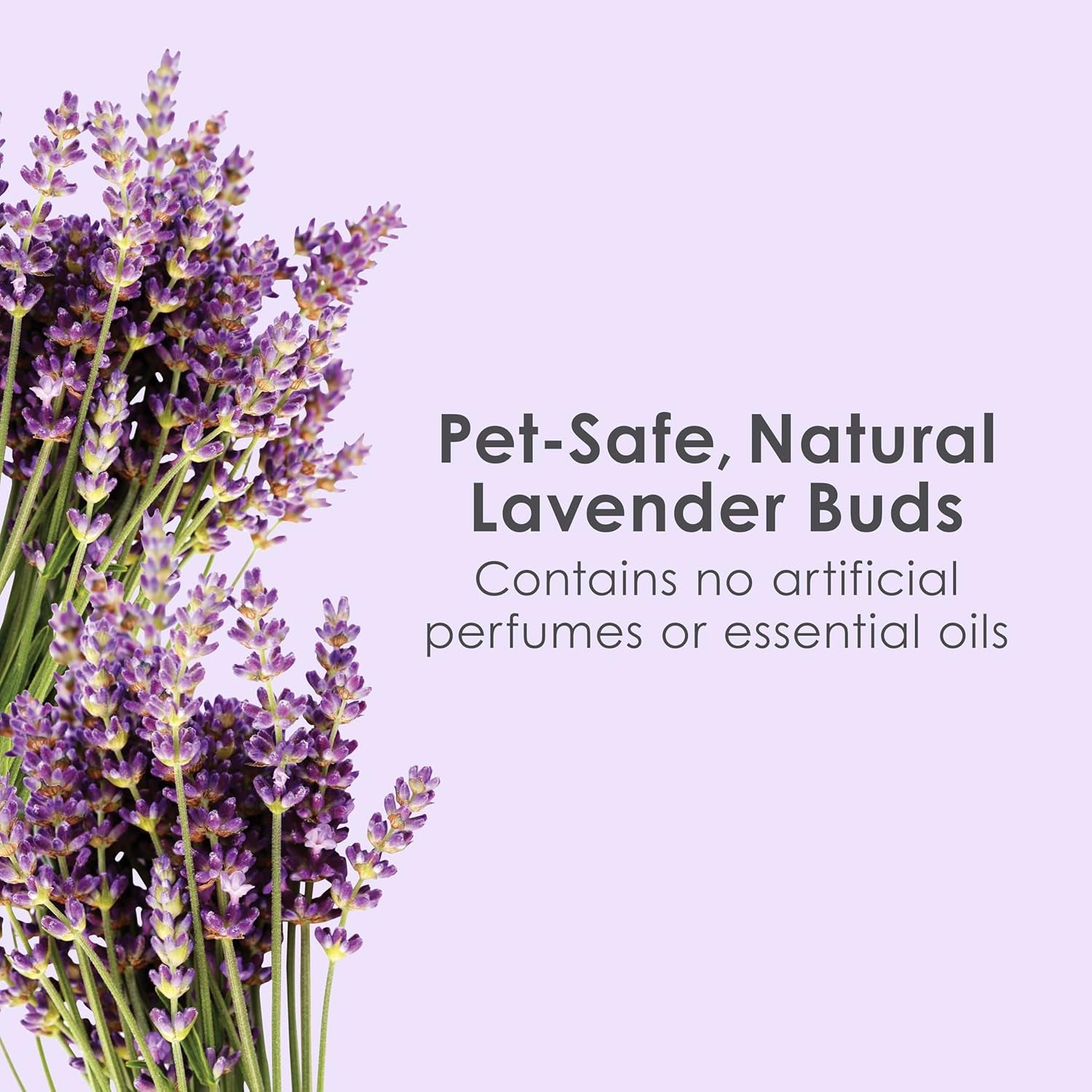 Clean & Cozy Lavender Bedding for Pet Guinea Pigs, Rabbits, Hamsters, Gerbils, and Chinchillas, 49.2 Liters