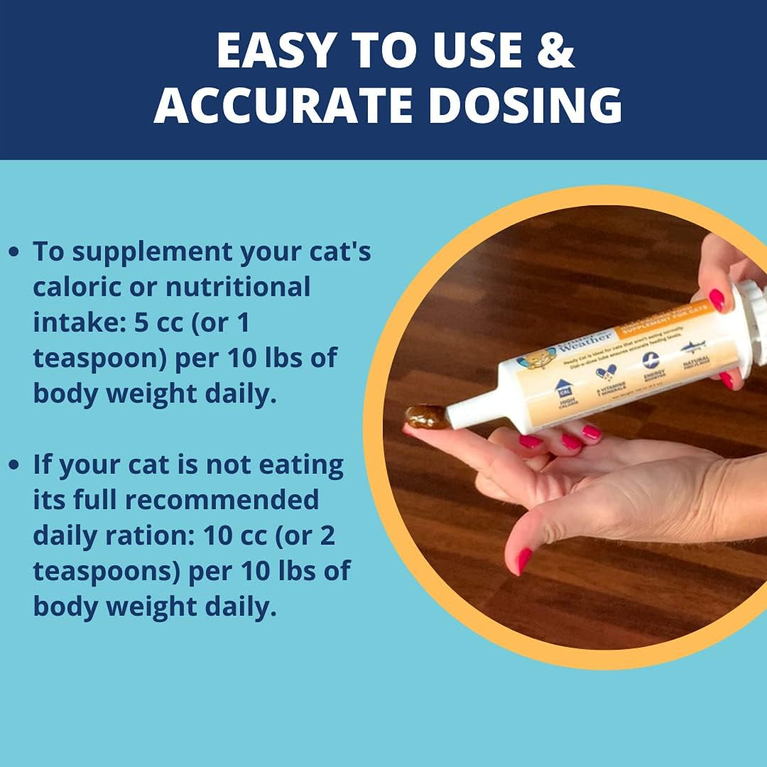Pet | Ready Cal for Cats 100Cc | High Calorie Supplement | Cat Weight Gainer and High Calorie Booster | 10 Vitamins, 7 Minerals & Omega Fatty Acids (For Cats 100Cc)