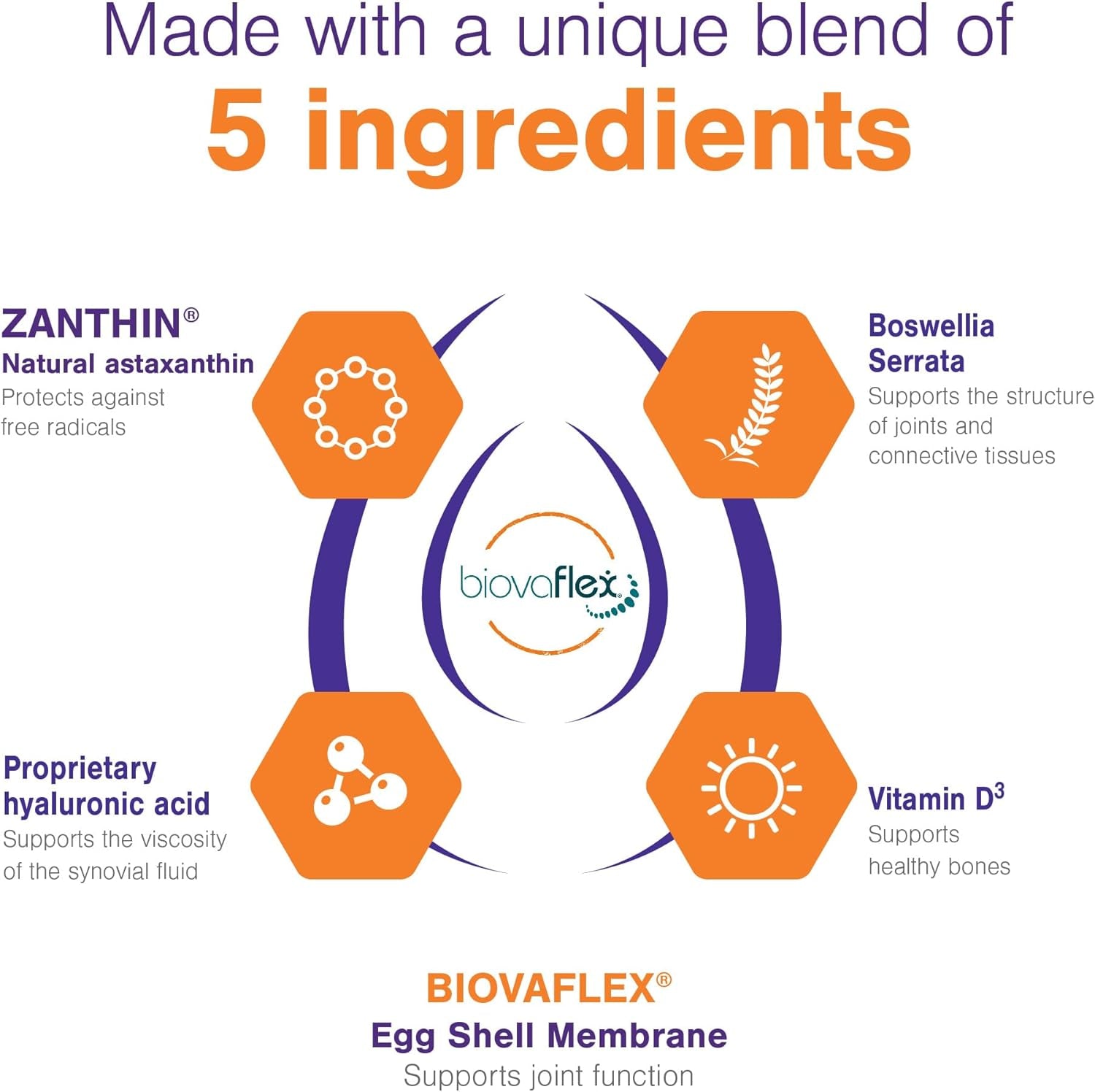 Soft Chews Hip and Joint Support Supplement for Large Dogs -  60 Count by Virbac