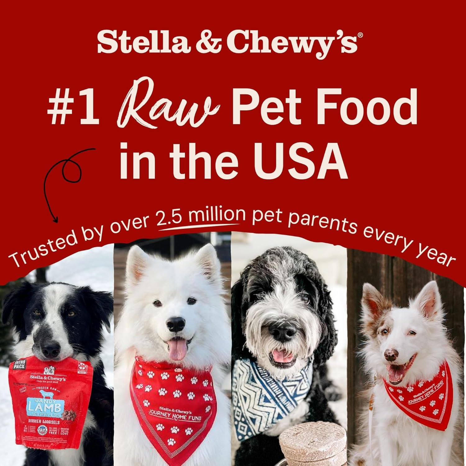 Freeze-Dried Raw Chicken Meal Mixers- Dog Food Topper and Mixer - Made with 95% Cage-Free Chicken, Organs & Bone - Perfect for Picky Eaters - Grain-Free - 3.5Oz