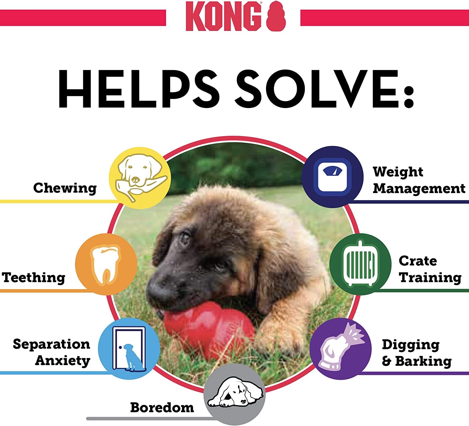 Classic Stuffable Dog Toy - Fetch & Chew Toy for Dogs - Treat-Filling Capabilities & Erratic Bounce for Extended Play Time - Durable Natural Rubber Material - for Medium Dogs