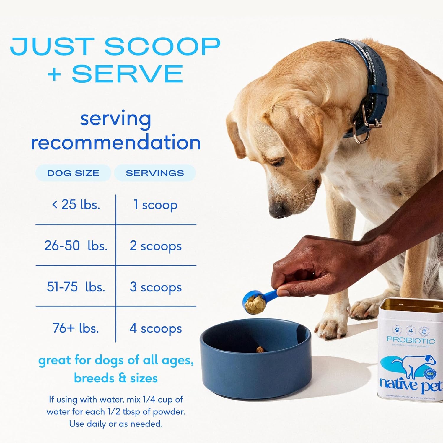 Probiotics for Dogs - Dog Probiotics Powder for Digestive Health, Gut Support, & Immune Boost – Vet-Formulated Powder for Maximum Potency with Digestive Enzymes & Prebiotics - 120 Scoops