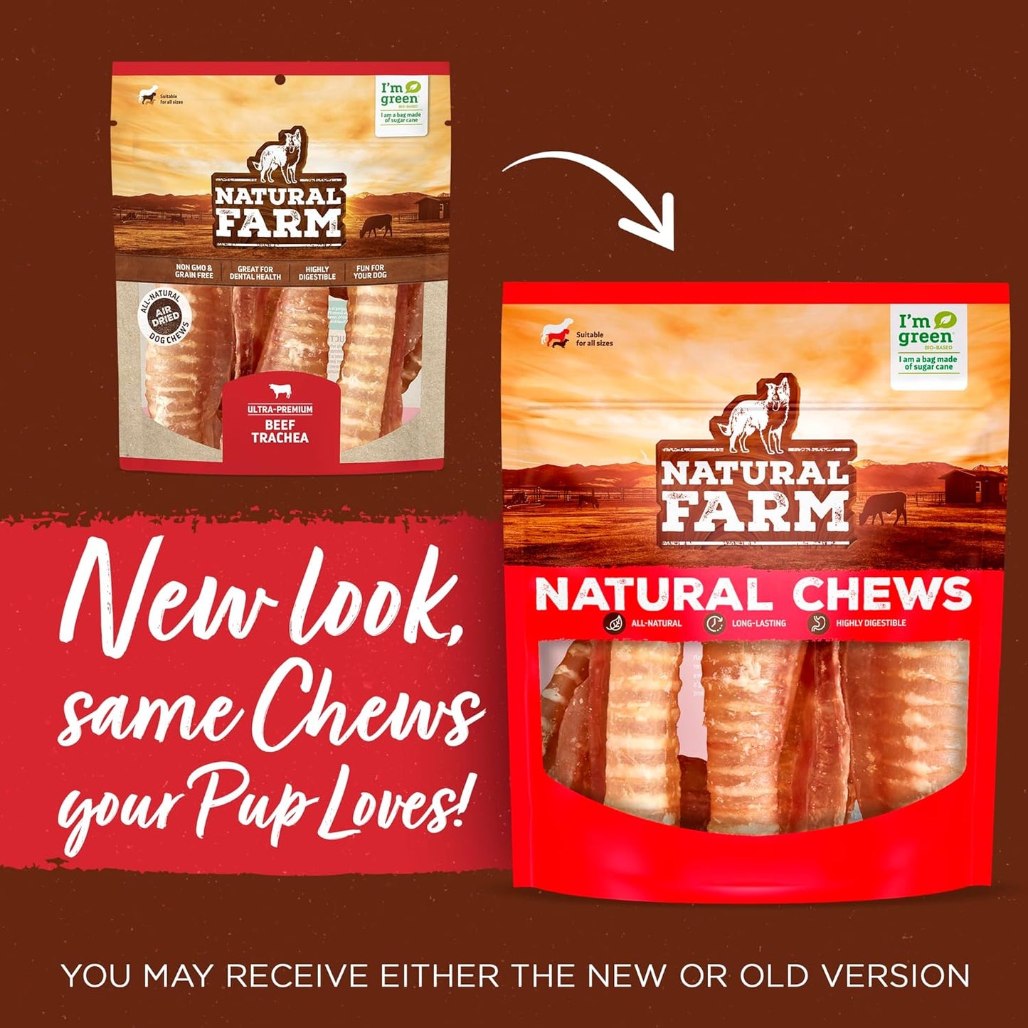 Beef Trachea (12 Inch, 8 Pack), 100% Beef Chews, Natural Glucosamine and Chondroitin for Joint & Hip Mobility, Bone Strength – Low Fat Crunchy & Crispy Treats for All Dogs