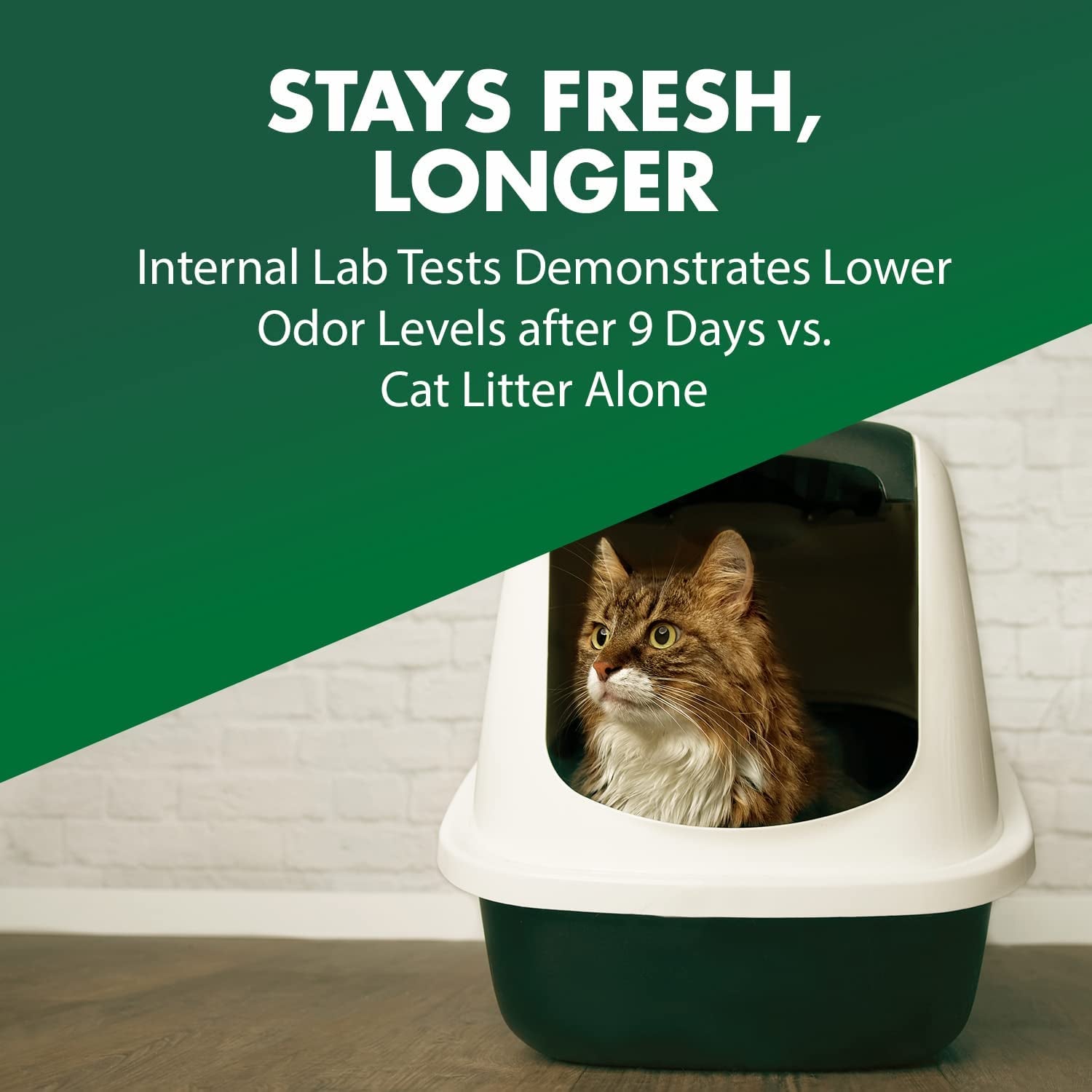 Cat Litter Deodorizer Double Duty, 20 Oz, 6 Pack