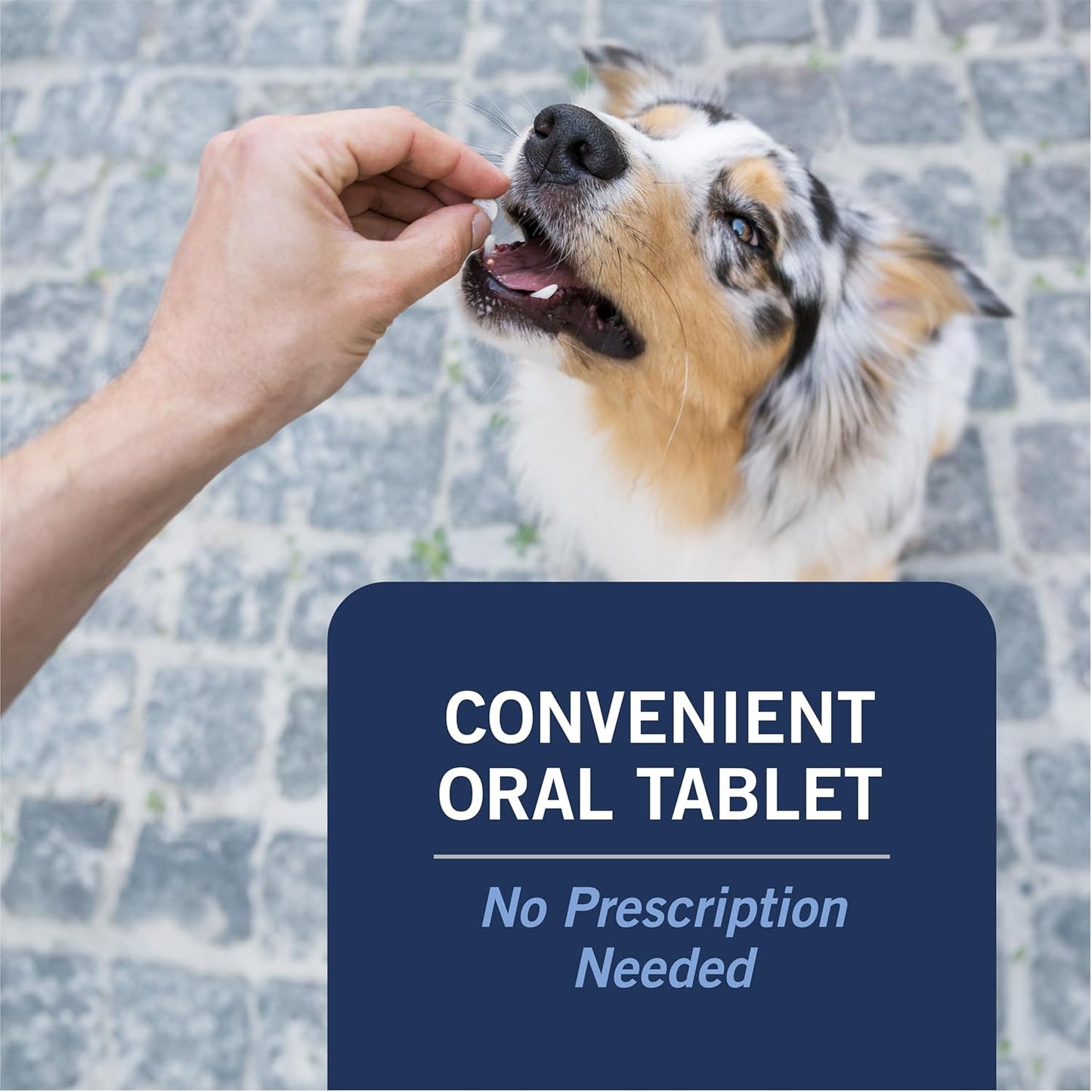 CAPACTION (Nitenpyram) Oral Flea Treatment for Dogs, Fast Acting Tablets Start Killing Fleas in 30 Minutes, Dogs over 25 Lbs, 6 Doses