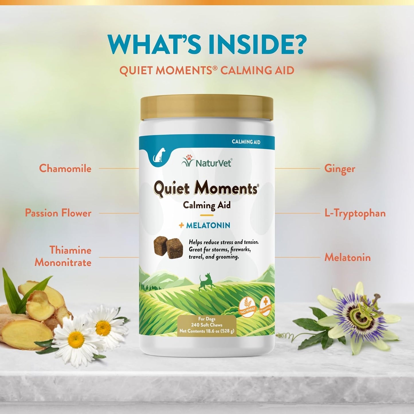 Quiet Moments Calming Dog Supplement, Dog Soft Chews with Melatonin to Help Reduce Stress from Storms, the Vet, Fireworks, and Travel, Bacon and Chicken Flavored Pet Supplement, 240 Count Jar