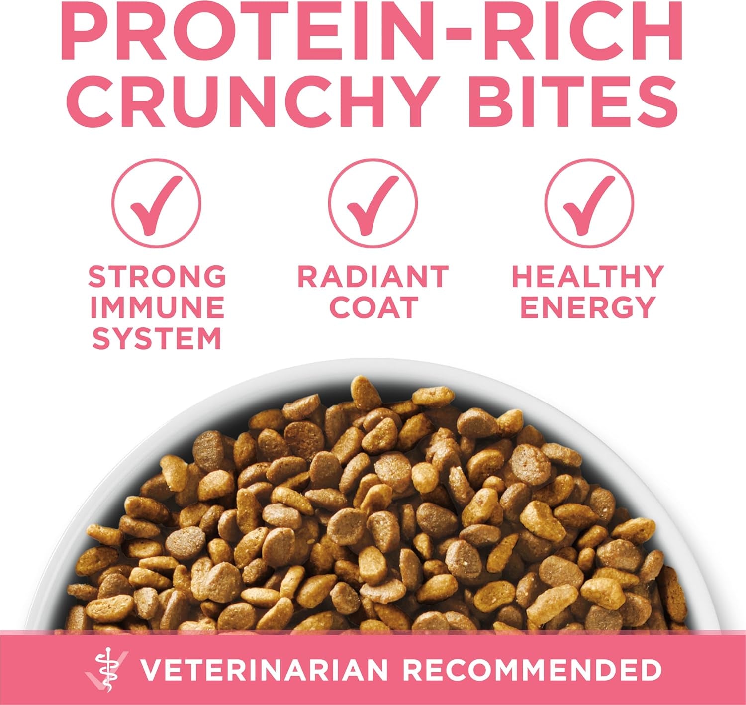 High Protein, Natural Dry Kitten Food, +Plus Healthy Kitten Formula - 16 Lb. Bag