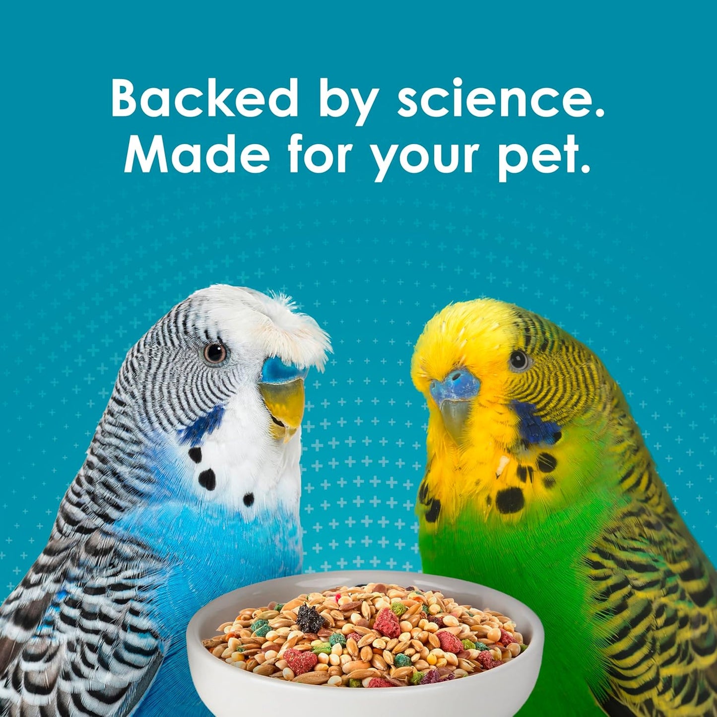Forti-Diet Pro Health Parakeet Food 2Lb
