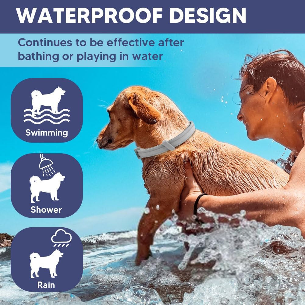 Flea Collar for Dogs, Adjustable Flea and Tick Collar for Large Dogs, 8 Months Protection 2 Count