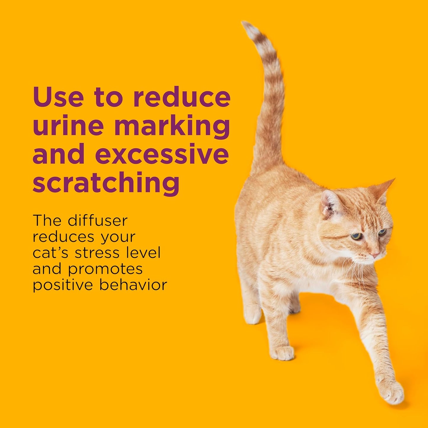 2 Pack Multicat Diffuser Refills; Cat Calming Pheromones Help Anxiety; 30-Day Refills