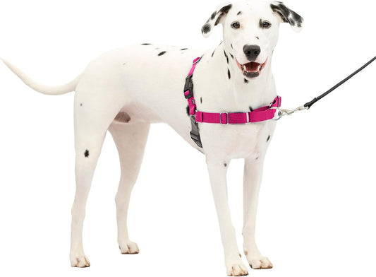 Easy Walk No-Pull Dog Harness - the Ultimate Harness to Help Stop Pulling - Take Control & Teach Better Leash Manners - Helps Prevent Pets Pulling on Walks, Medium/Large, Raspberry/Gray