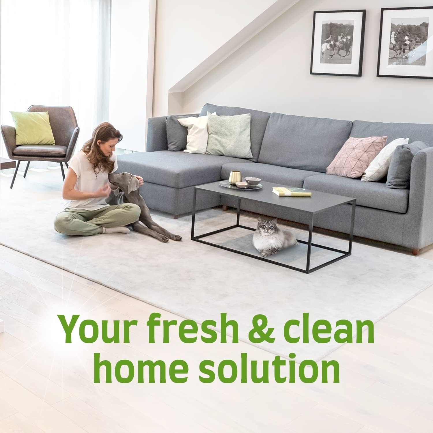 Stain and Odor Remover Cat, Odor Control Formula, Pour