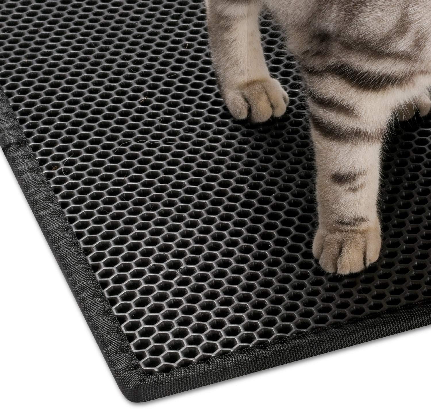 Cat Litter Mat Double Layer Waterproof Urine Proof Trapping Mat 1 Pack (Black, 30X24 Inch (Pack of 1))