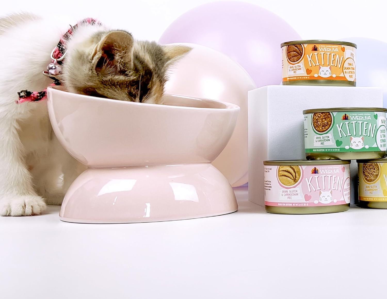 Kitten, Fur Baby Favorites Variety Pack, 3Oz Can (Pack of 12)