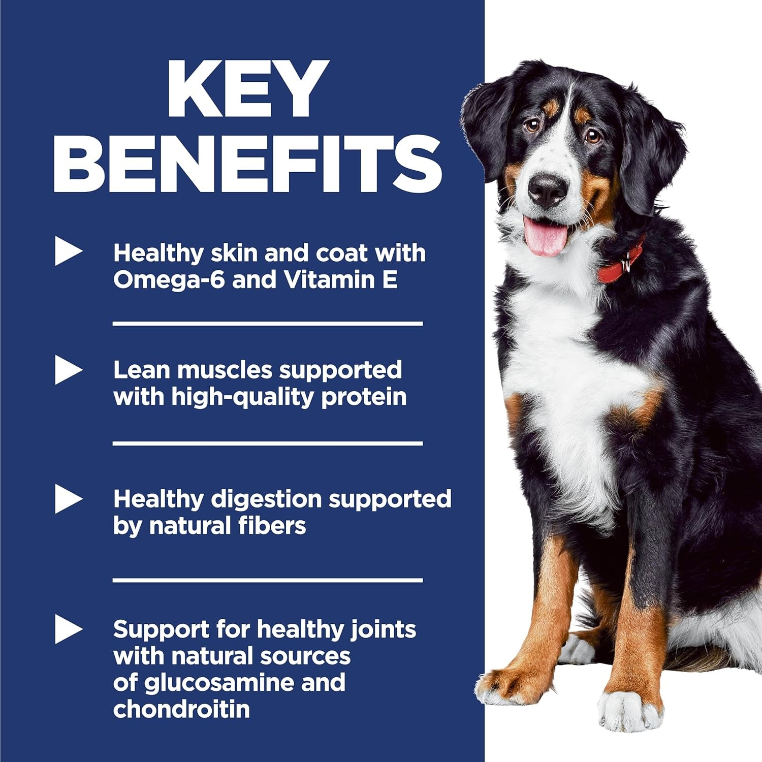 Large Breed, Adult 1-5, Large Breed Premium Nutrition, Dry Dog Food, Chicken & Barley, 35 Lb Bag