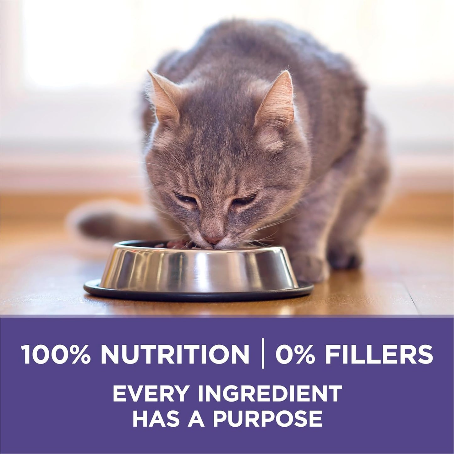 Natural Cat Food for Hairball Control, +PLUS Hairball Formula - 7 Lb. Bag