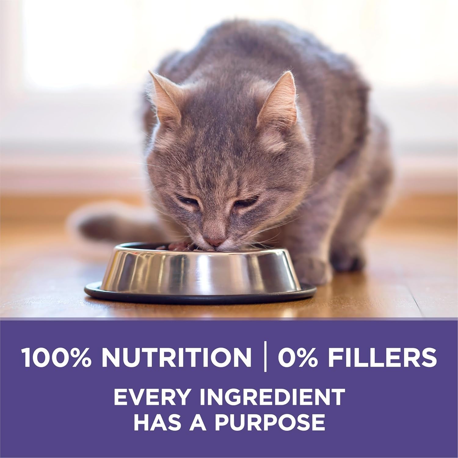 Natural Cat Food for Hairball Control, +PLUS Hairball Formula - 7 Lb. Bag