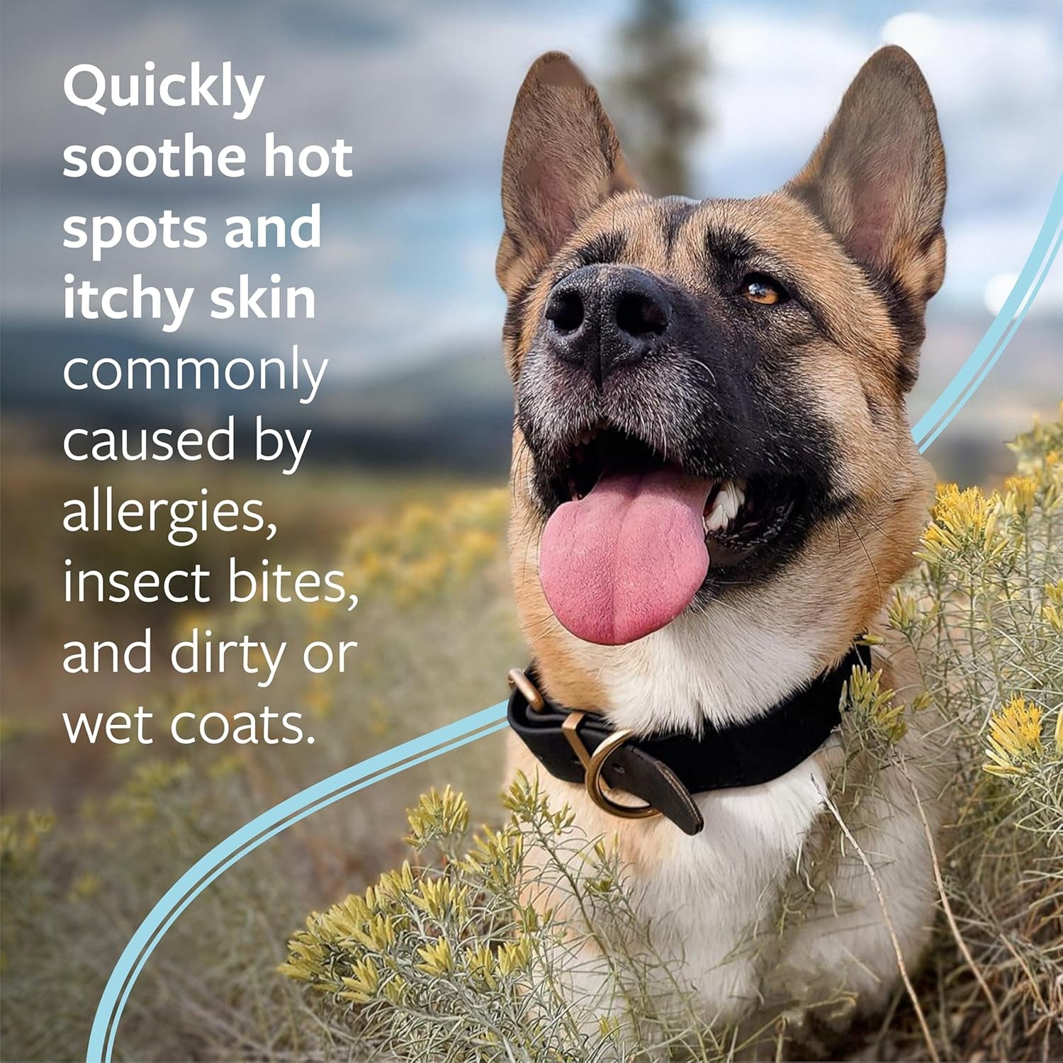 Clinical Care Hot Spot & Itch Relief Medicated Shampoo for Dogs and Cats 16Oz – Helps Alleviate Sensitive Skin, Scratching, and Licking of Coat