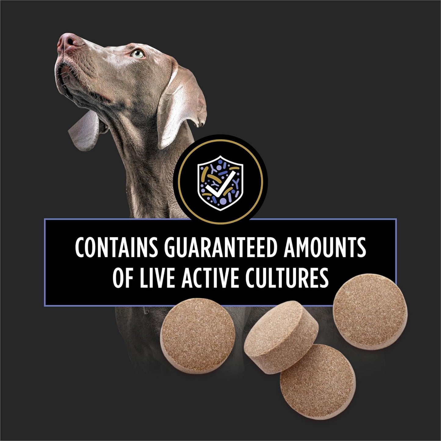 Purina Pro Plan Veterinary Supplements Fortiflora Chewable Dog Probiotic Supplement Tablets - 45 Ct. Canister