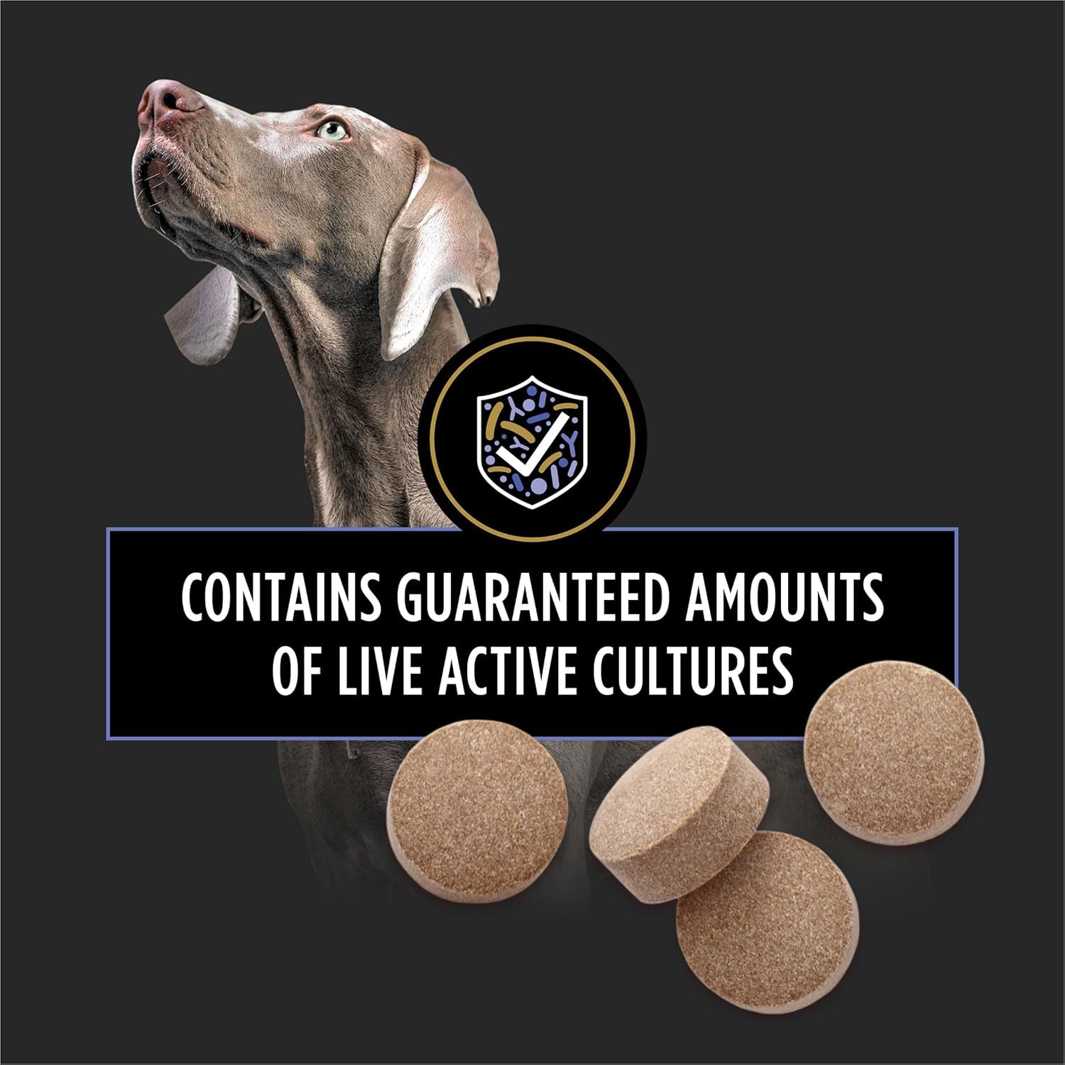 Purina Pro Plan Veterinary Supplements Fortiflora Chewable Dog Probiotic Supplement Tablets - 45 Ct. Canister