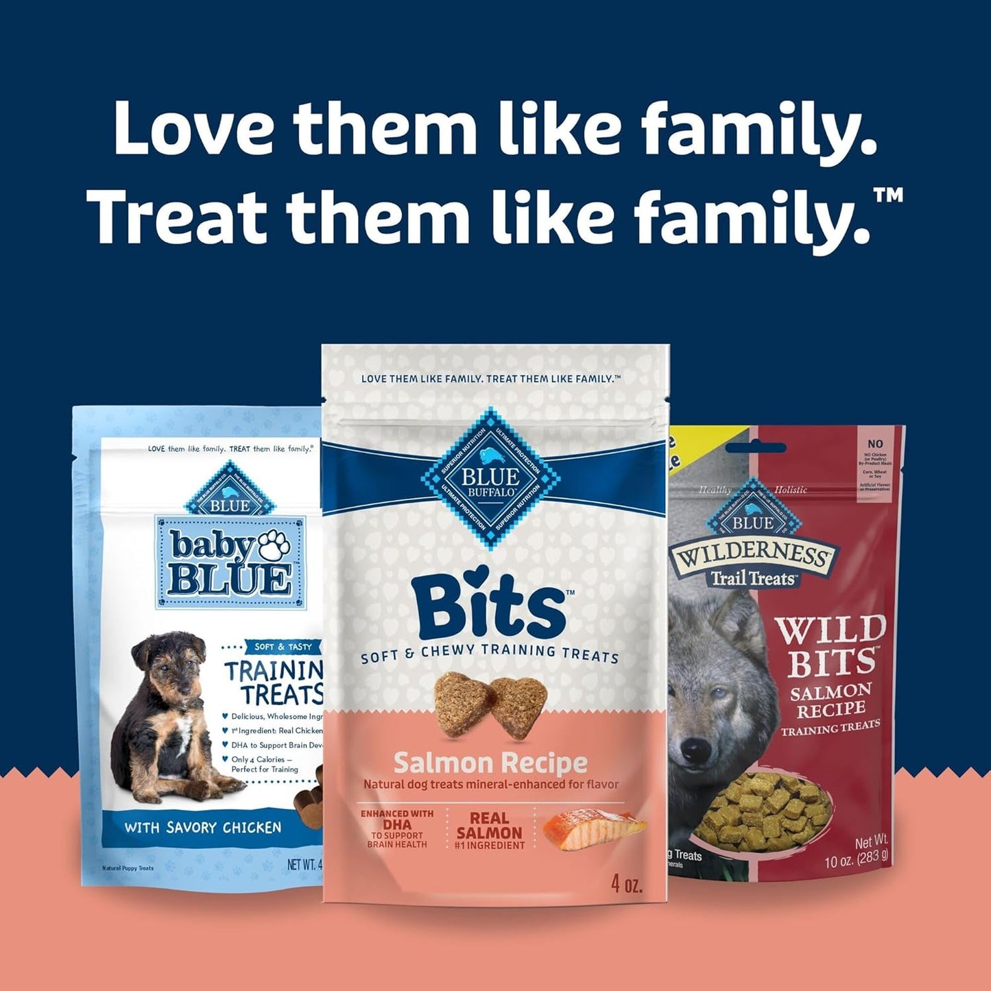 Bits Soft Dog Treats for Training, Made with Natural Ingredients & Enhanced with DHA, Salmon Recipe, 4-Oz Bag