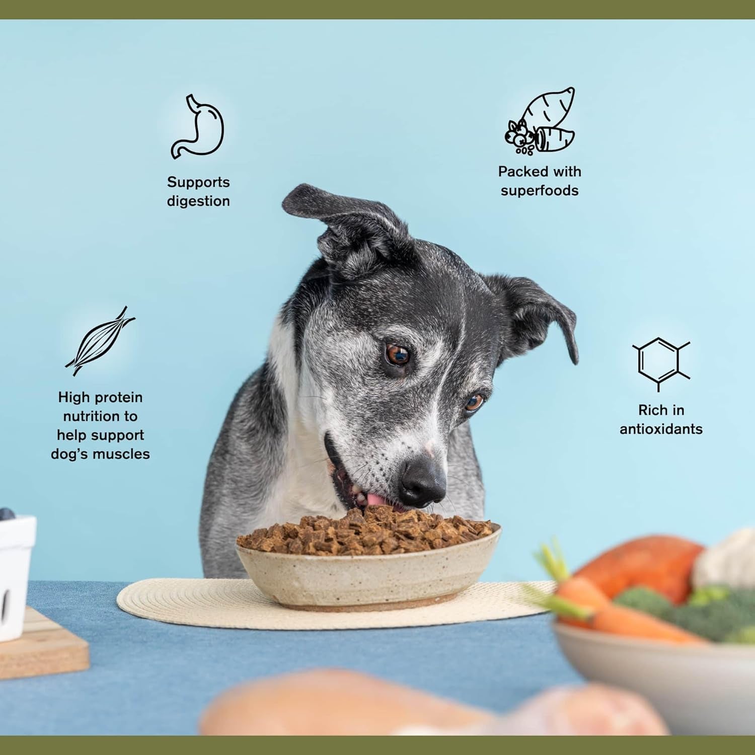 Superfood Complete, Adult Dog Food, Air-Dried, High Protein, Zero Fillers, Superfood Nutrition by Katherine Heigl (24 Oz., Beef Formula)
