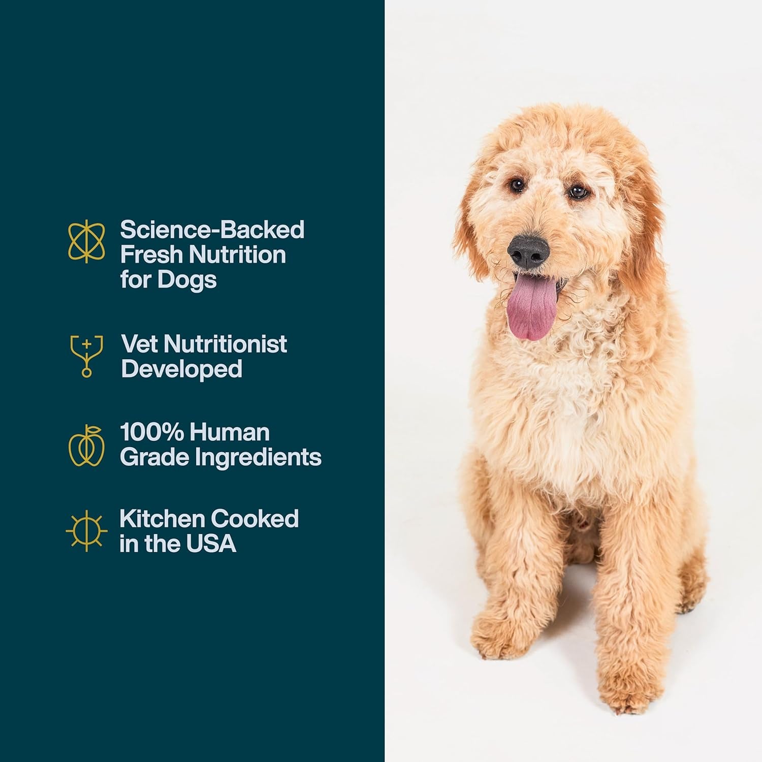 Justfresh Wet Dog Food, Fresh Pet Meals and Toppers with No Preservatives, Resealable Package, Human Grade, Home-Cooked Chicken, 12 Oz - 7 Pack