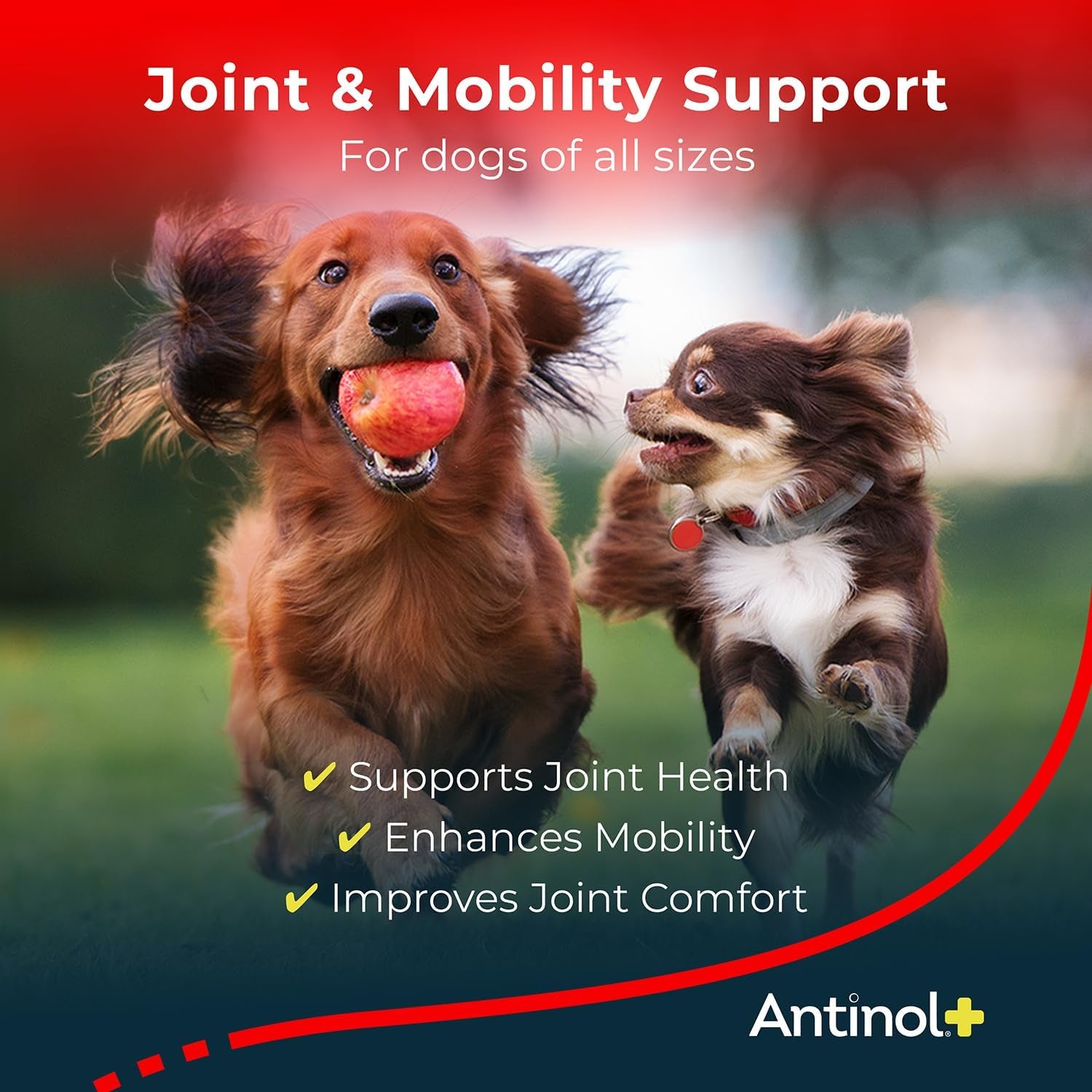 Plus, Mobility, Hip, and Joint Supplement for Dogs, Green-Lipped Mussels and Krill Oil - Dog Joint Supplement, Better and Faster than Glucosamine and Chondroitin, 120 Soft Gels