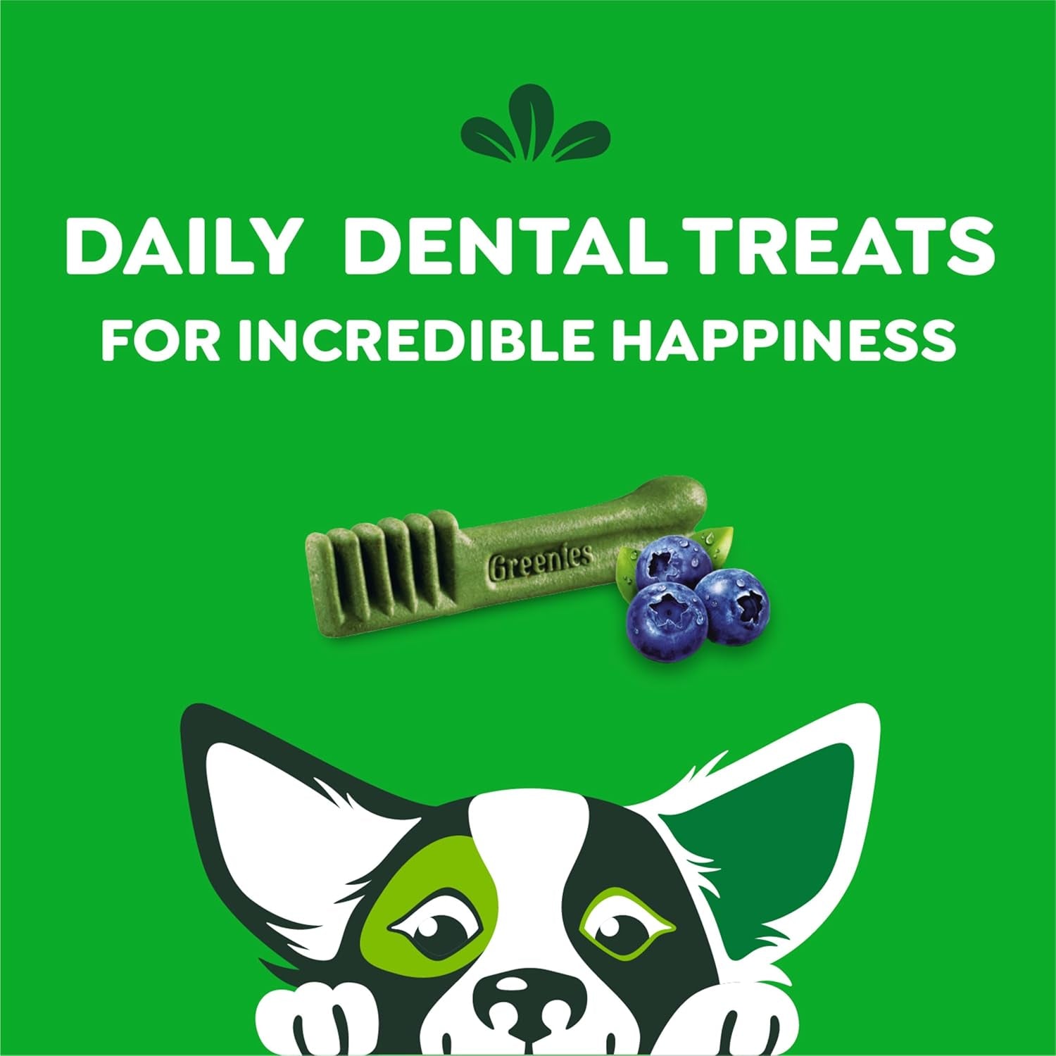 Petite Dental Dog Treats, Blueberry Flavor, 12 Oz. Pack (20 Treats)