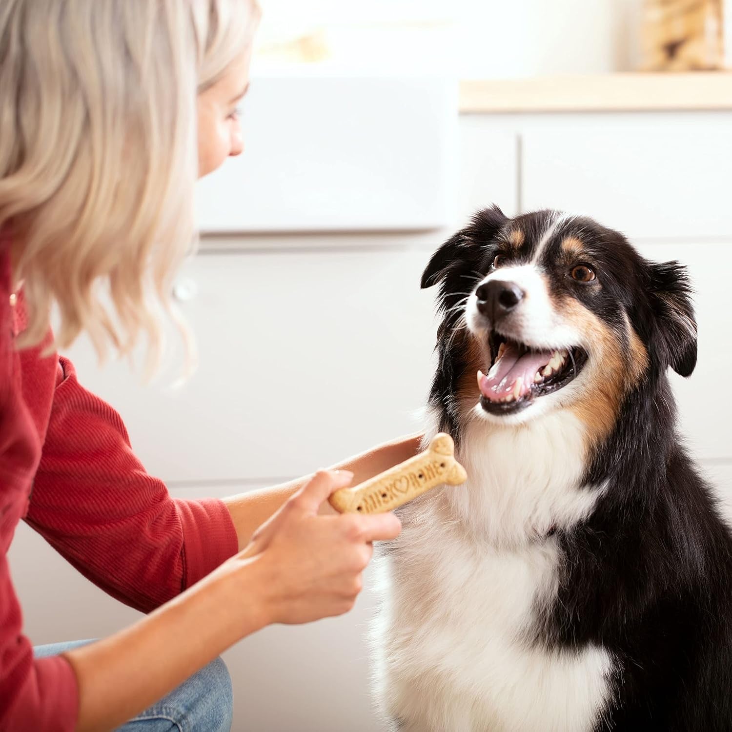 Original Dog Treats for Large Dogs, 24 Ounce, Crunchy Biscuit Helps Clean Teeth