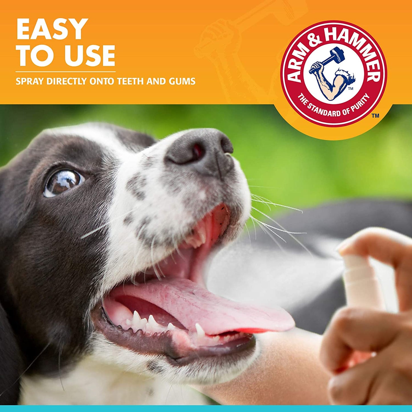 for Pets Dog Oral Care Spray - Fresh Breath & Teeth Cleaning Spray - Pet Breath Freshener - Reduce Plaque & Tartar Buildup - Healthy Mouth Hygiene Solution for Dogs - Mint Flavor, 4 Oz