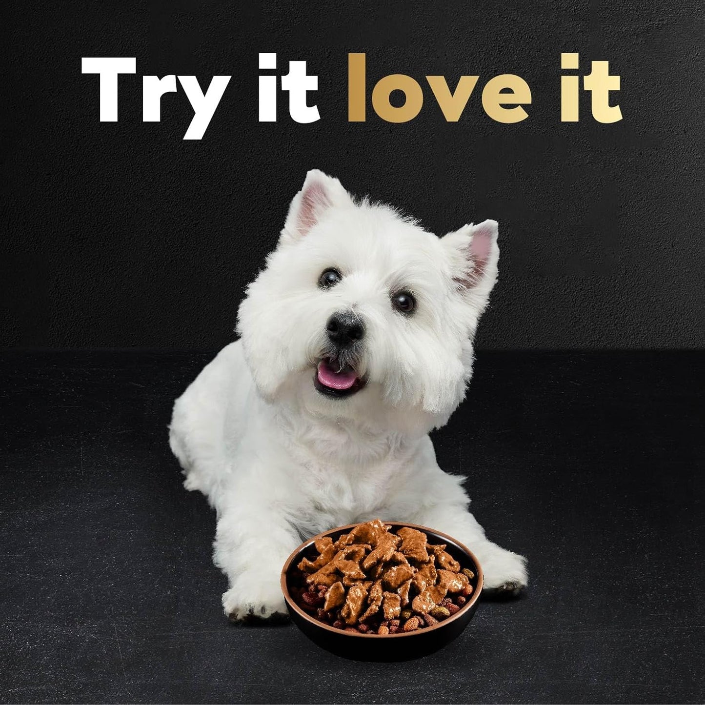 Filets in Gravy Wet Dog Food Filet Mignon Flavor, Rotisserie Chicken Flavor, and Wood-Grilled Chicken Flavor Variety Pack, 1.76 Oz. Mini-Pouches (40 Count, Pack of 1)