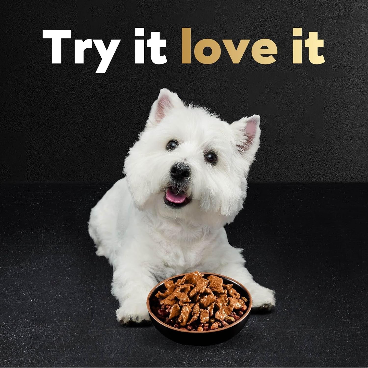 Filets in Gravy Wet Dog Food Filet Mignon Flavor, Rotisserie Chicken Flavor, and Wood-Grilled Chicken Flavor Variety Pack, 1.76 Oz. Mini-Pouches (40 Count, Pack of 1)