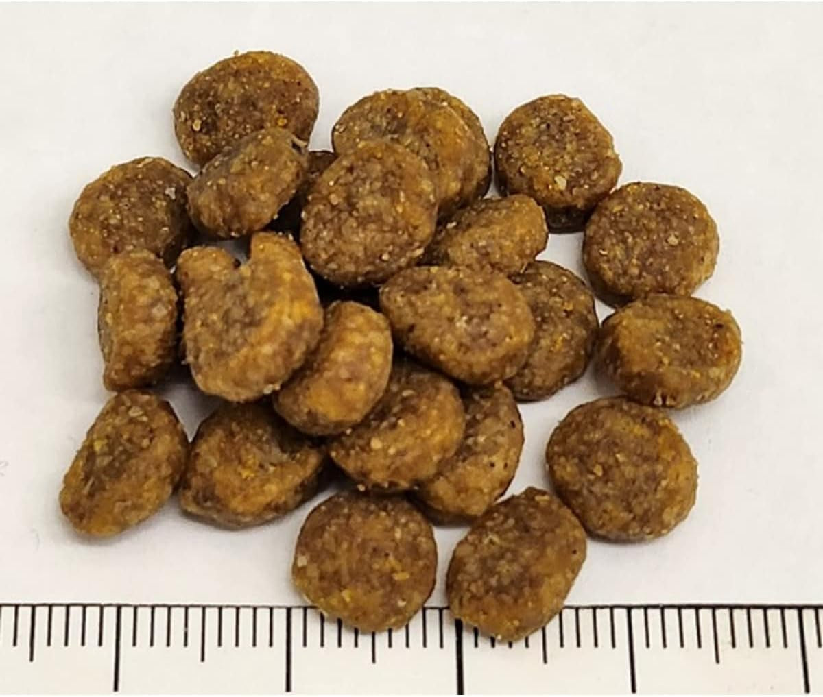 Limited Ingredient Adult Grain-Free Dry Cat Food, Reserve Duck & Green Pea Recipe, 10 Pound (Pack of 1)