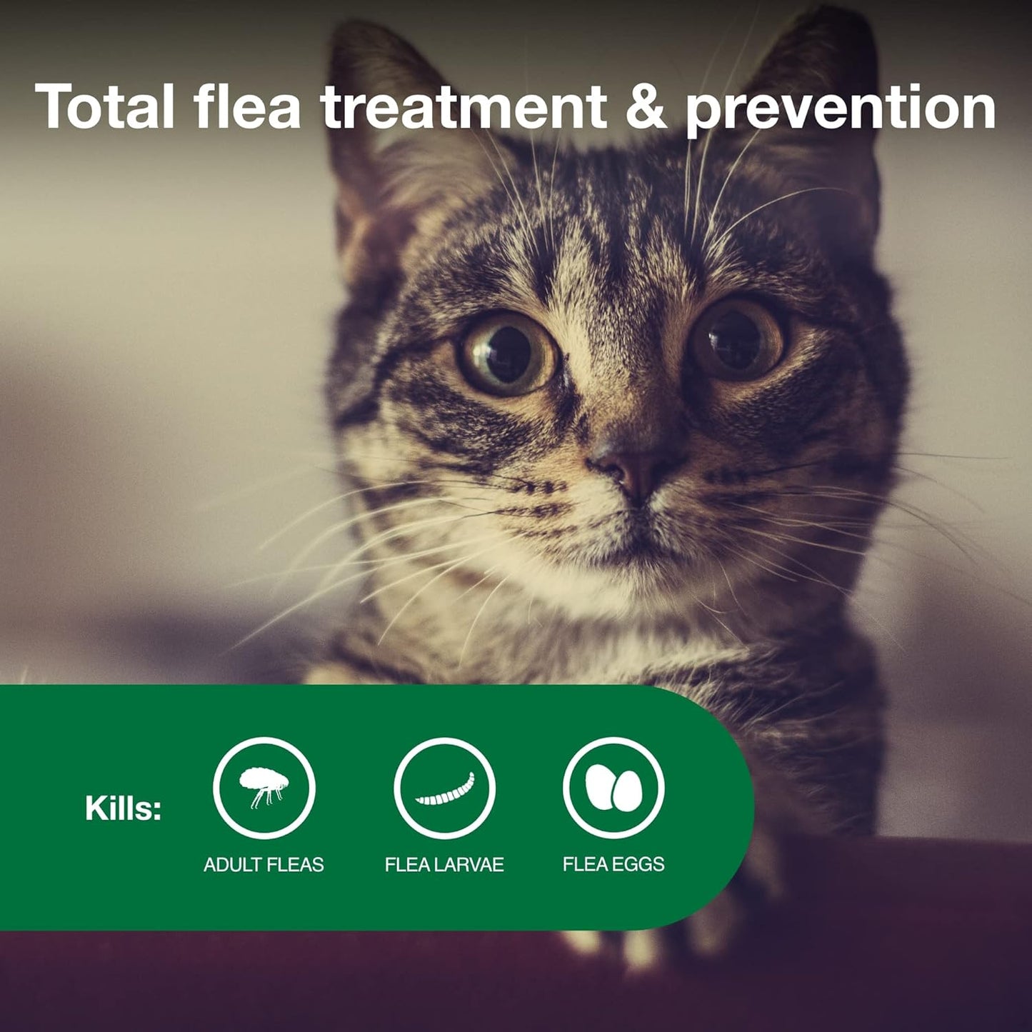 II Small Cat Vet-Recommended Flea Treatment & Prevention | Cats 5-9 Lbs. | 1-Month Supply