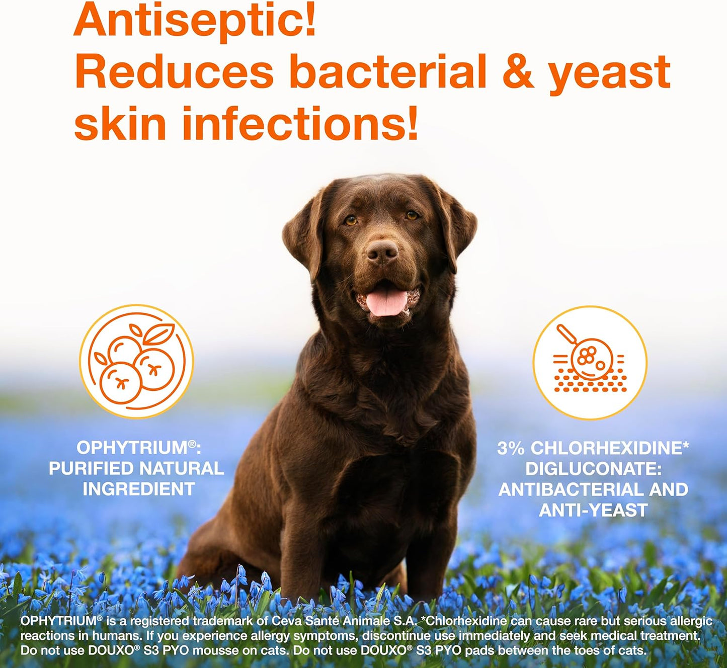 S3 Pyo Shampoo, Contains 3% Chlorhexidine & 0.5% Ophytrium, Antiseptic & Hydrating, for Bacterial or Yeast Skin Infections, for Dogs and Cats, 16.9 Fl. Oz. (500Ml)